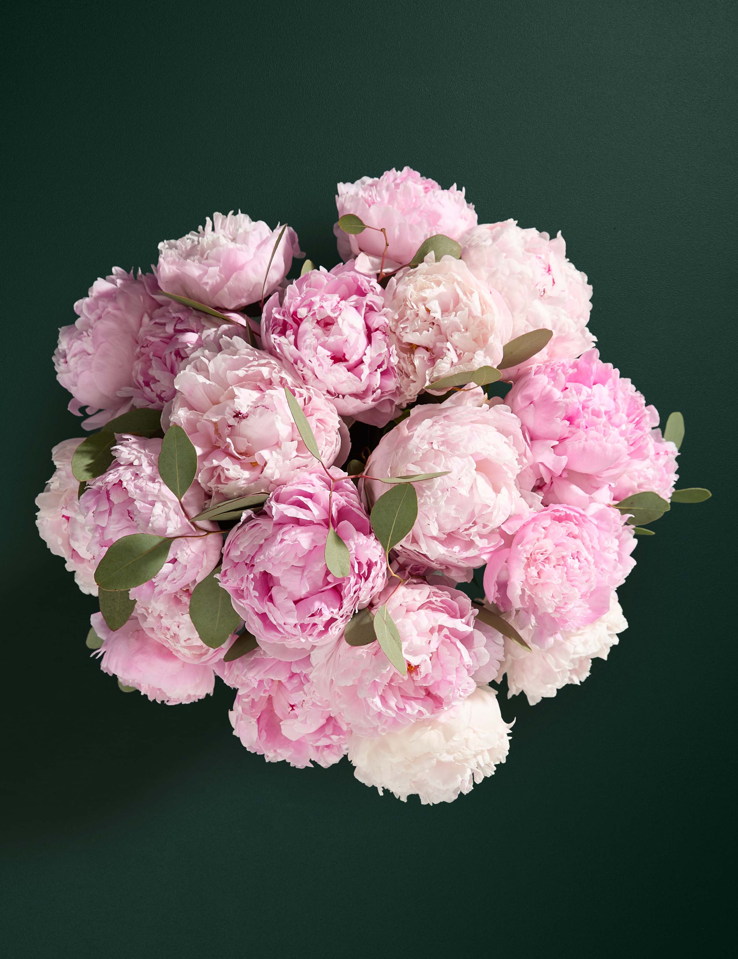 British Pink Peony Bouquet 2 of 6