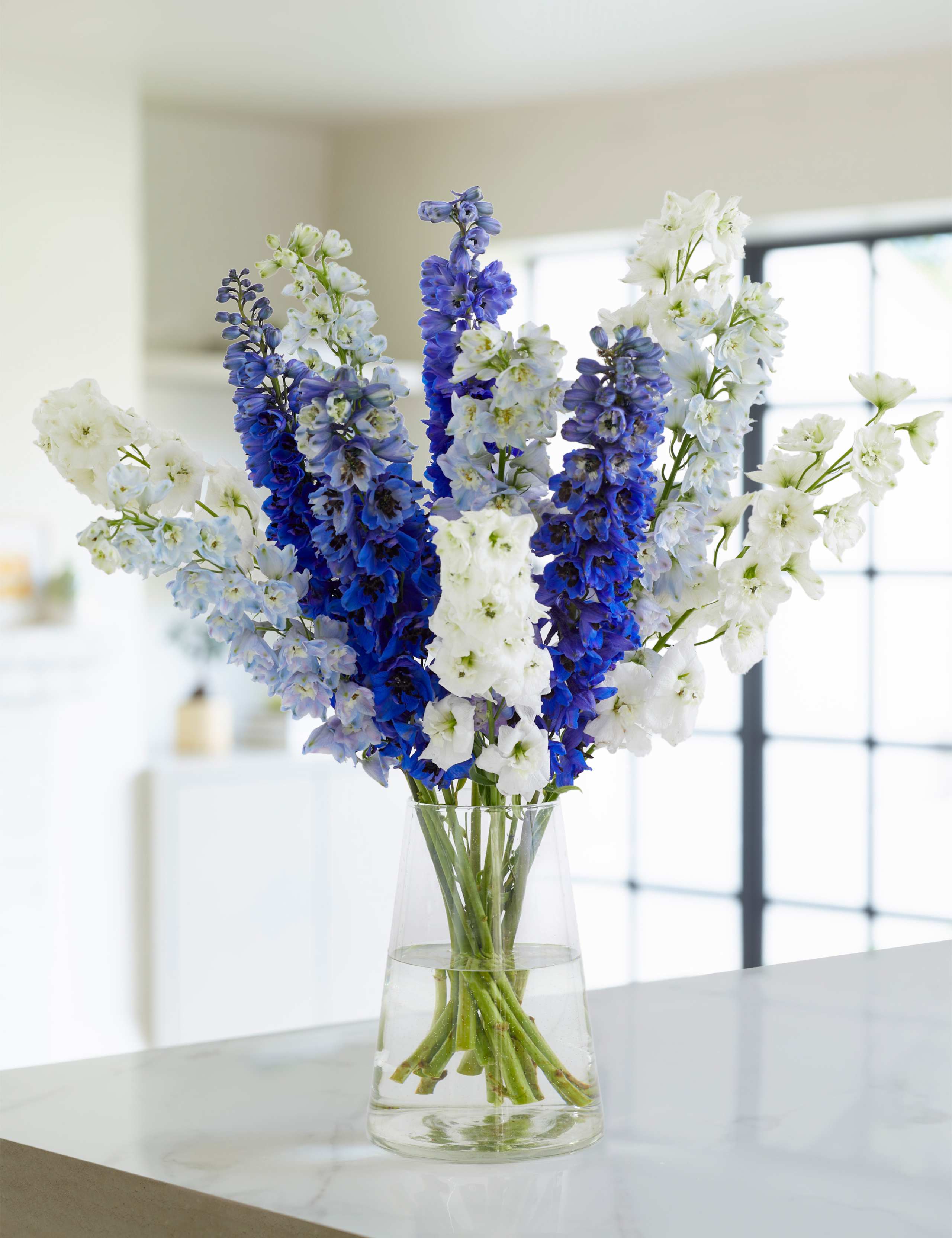 Delphiniums Flowers Bouquet 1 of 4