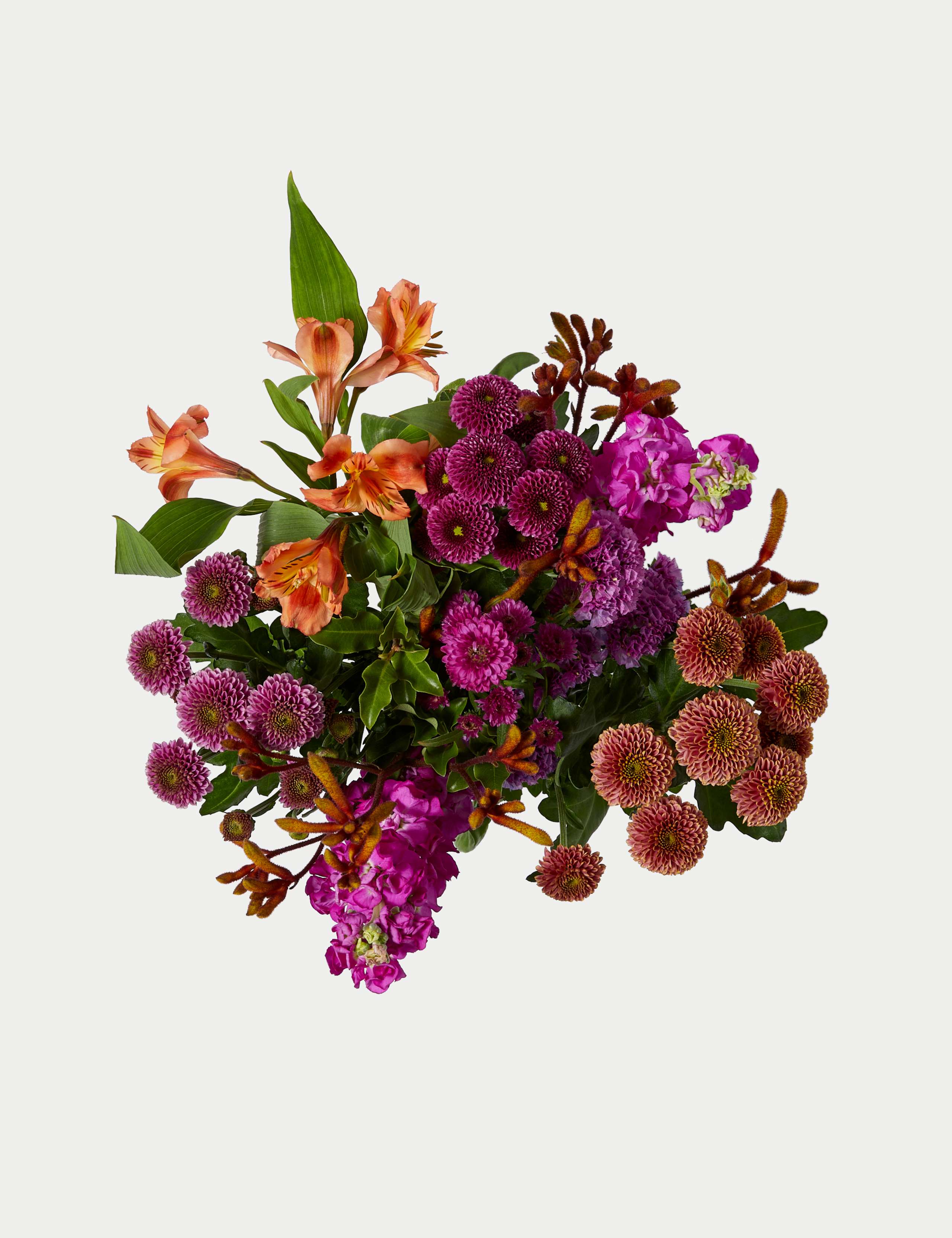 Alstroemeria, Stocks & Santini Chrysanthemum Bright Bouquet 2 of 5