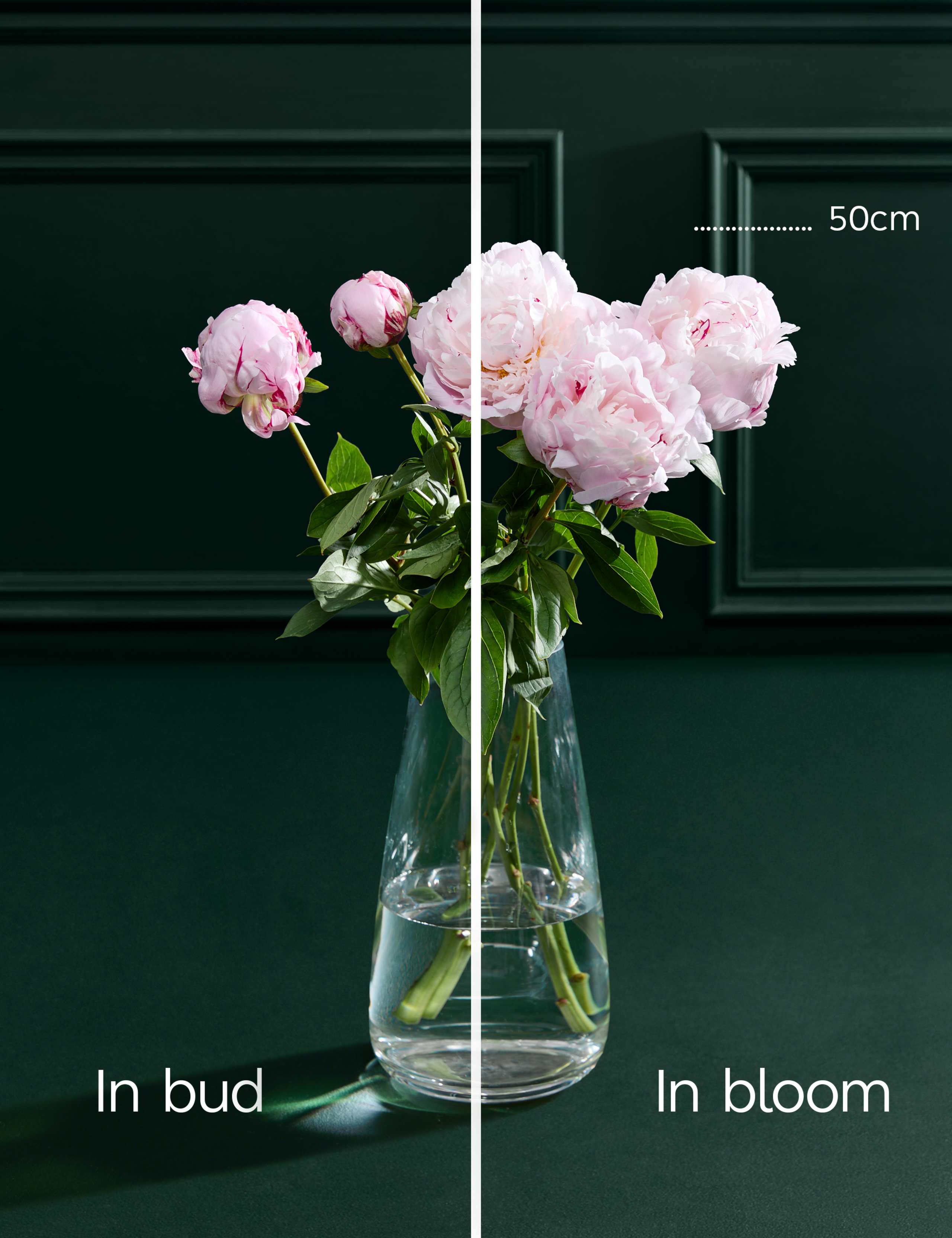 Pink Peony Bouquet 4 of 6