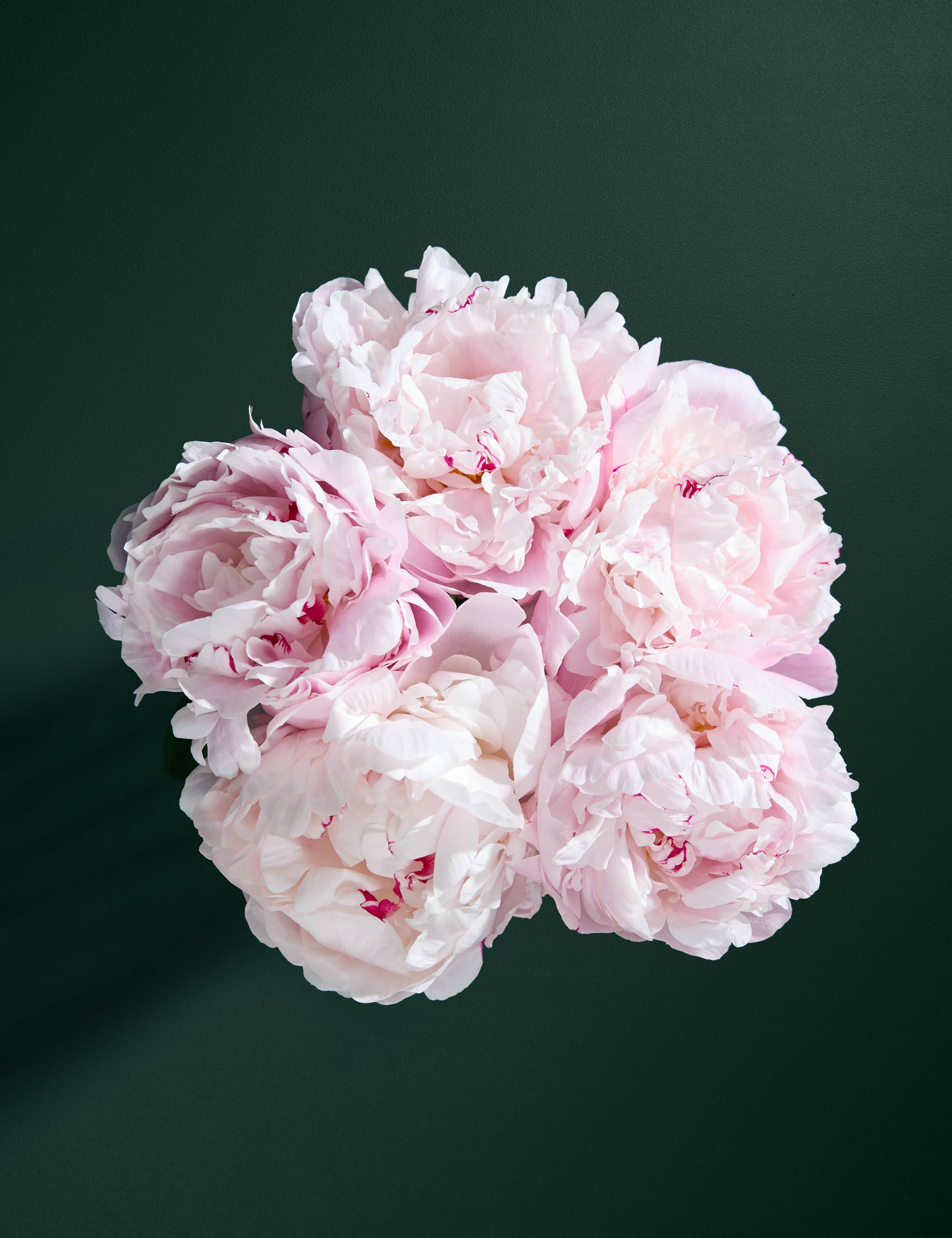 Pink Peony Bouquet 2 of 6