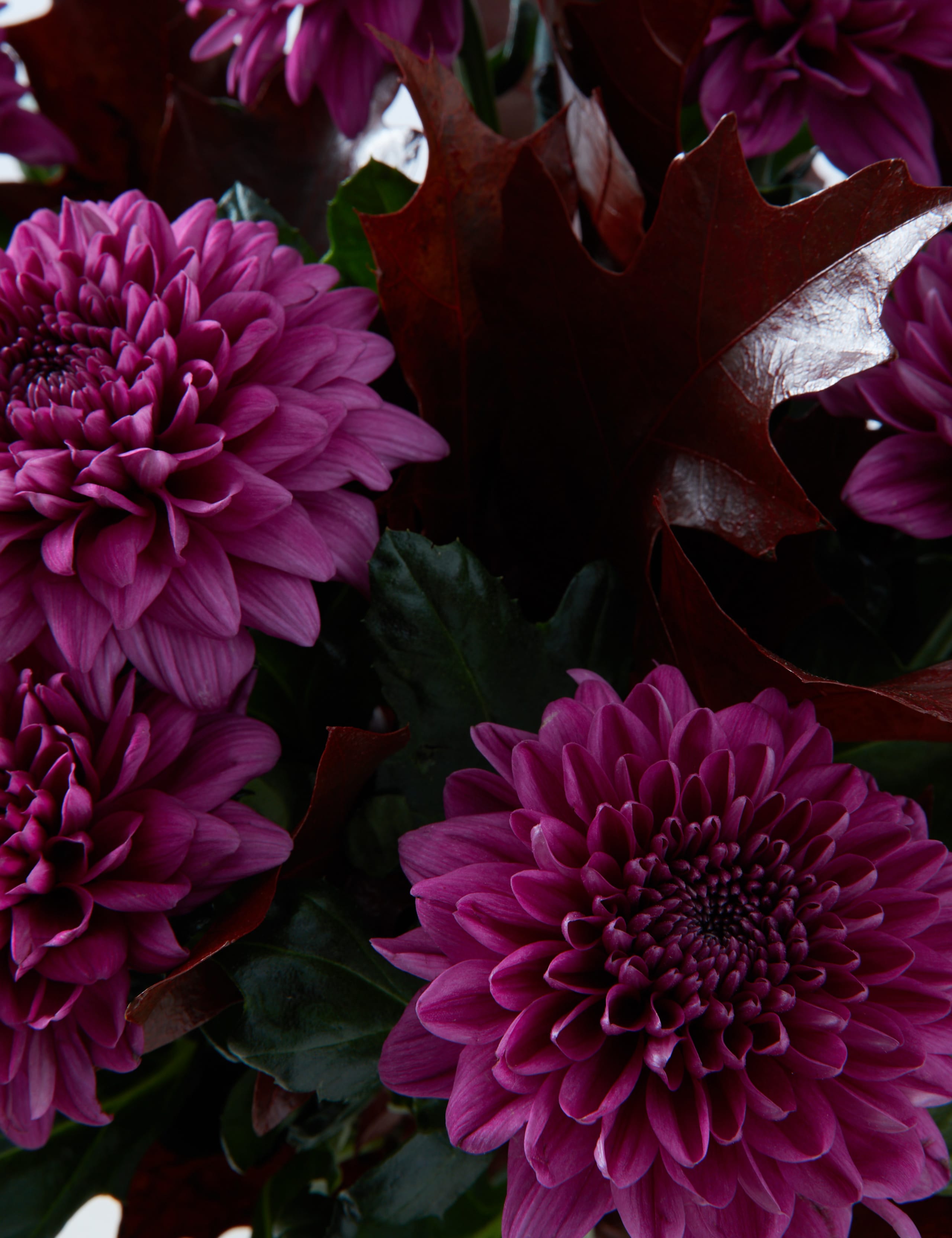 November Blooming Beautiful Bouquet 4 of 4
