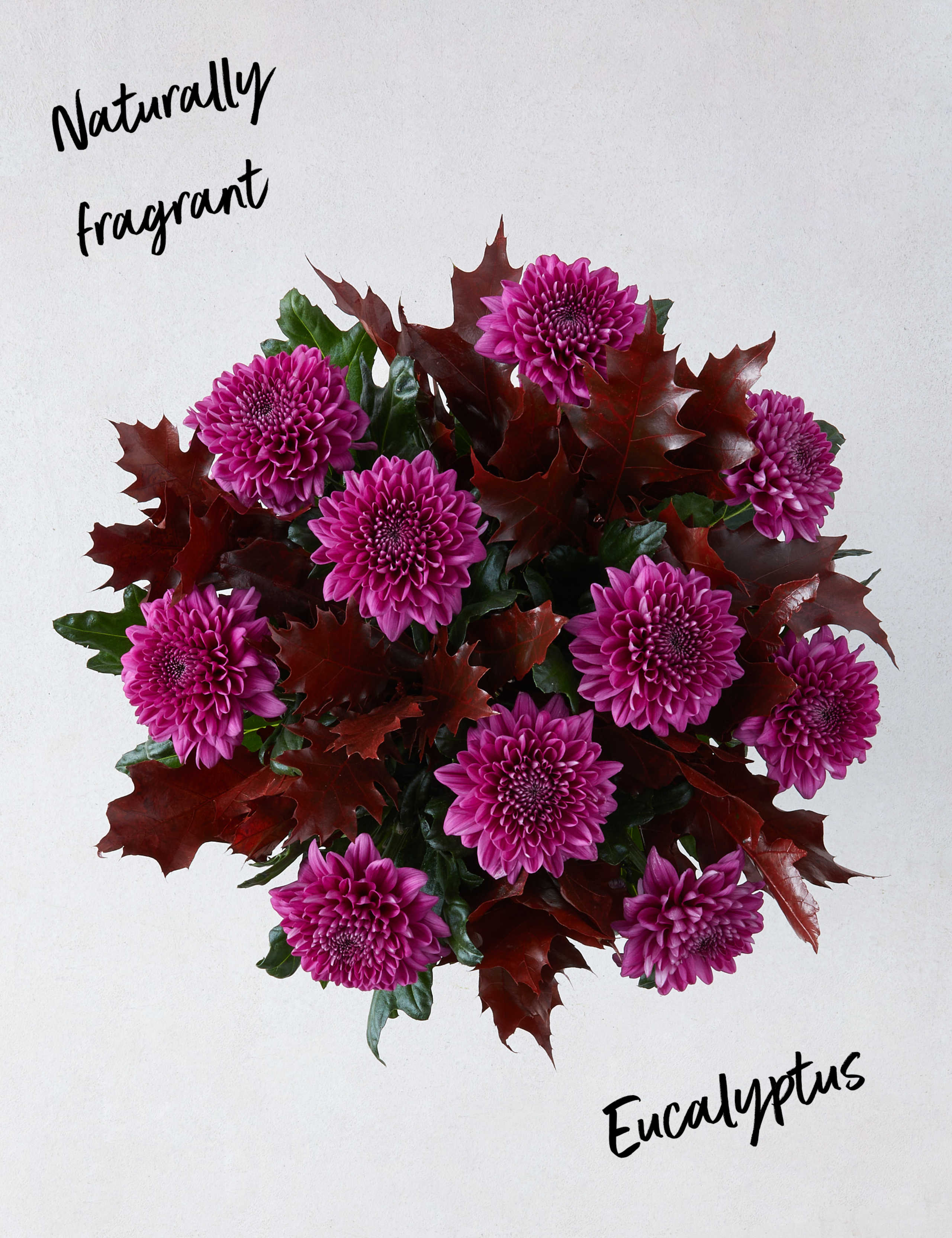 November Blooming Beautiful Bouquet 2 of 4