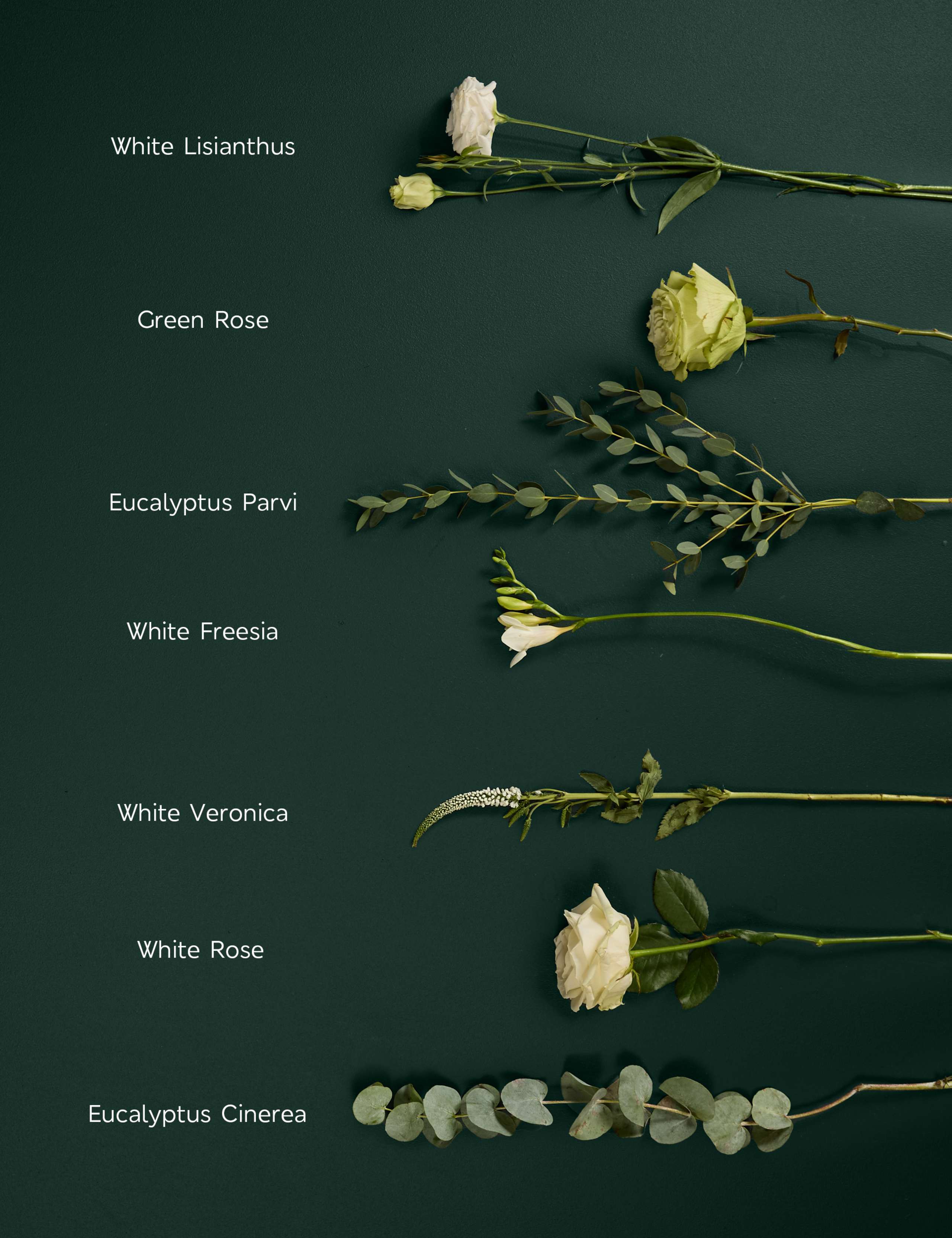 Rose, Freesia & Eucalyptus Bouquet 4 of 7