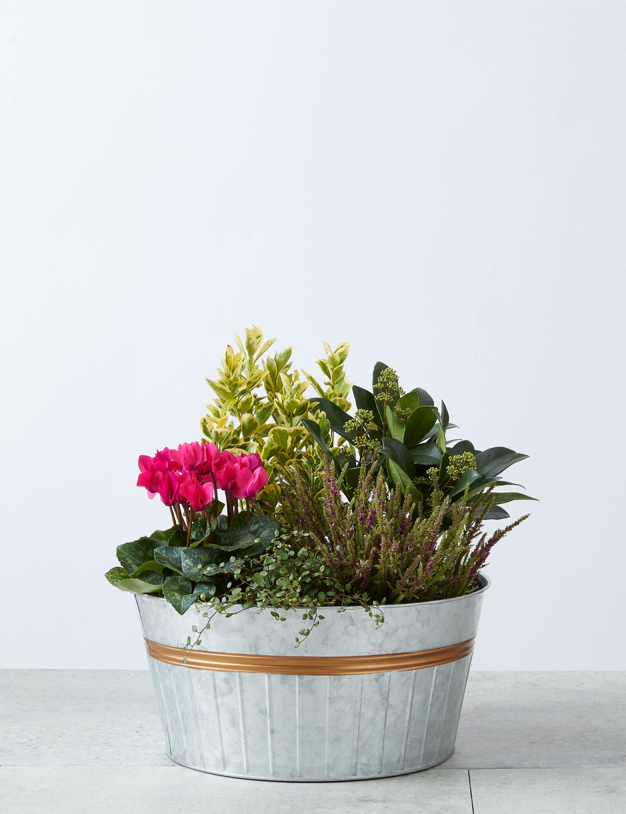 Autumn Tin Planter 2 of 4