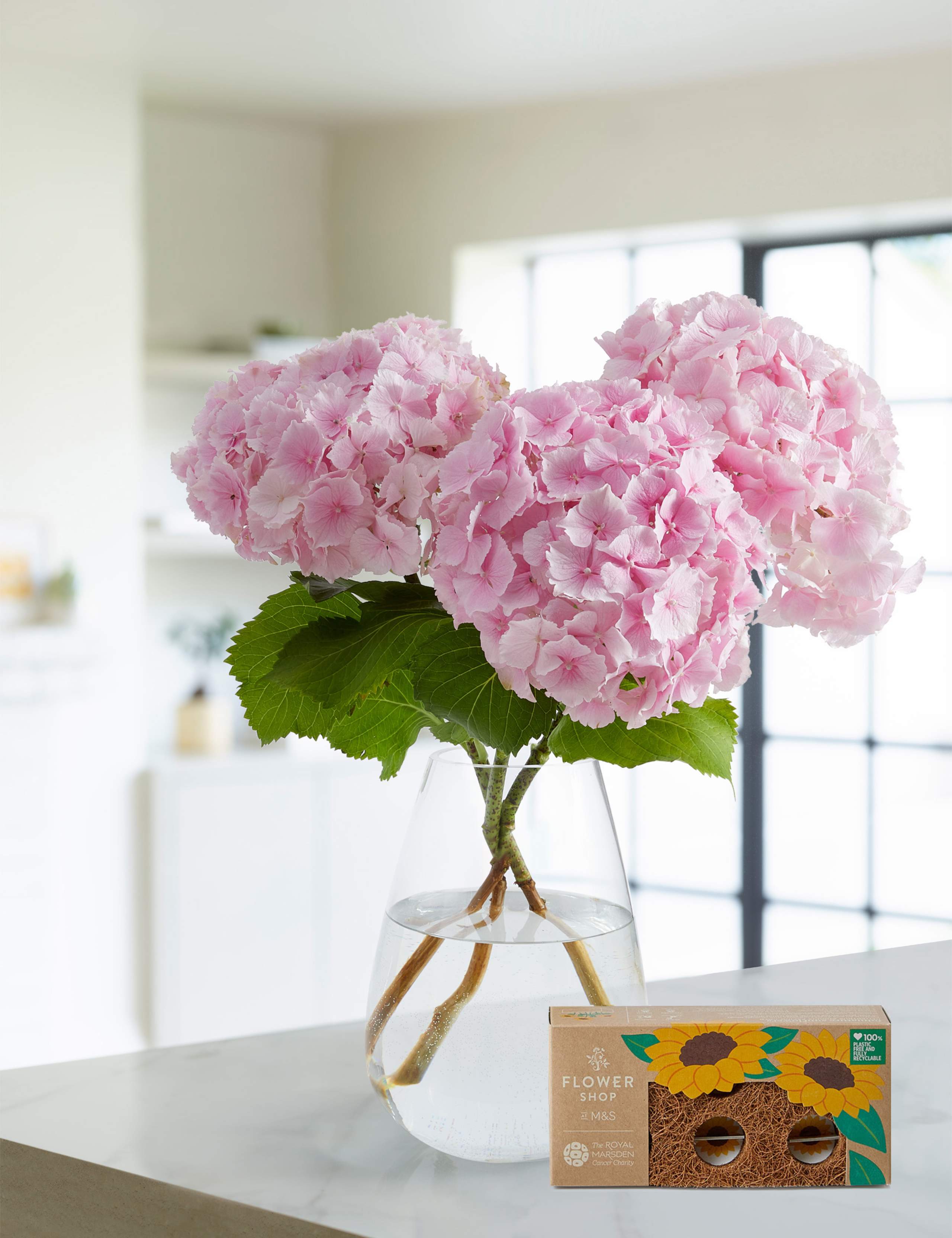 Hydrangea Bouquet with Grow Your Own Sunflowers Brick 1 of 6
