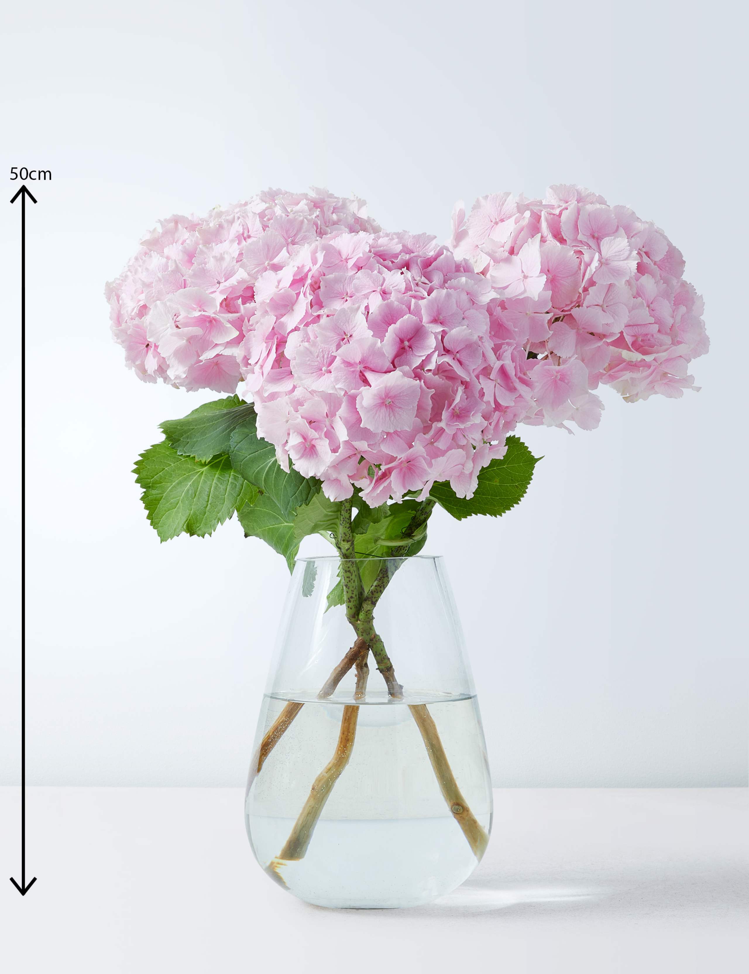 Hydrangea Bouquet with Grow Your Own Sunflowers Brick 3 of 6