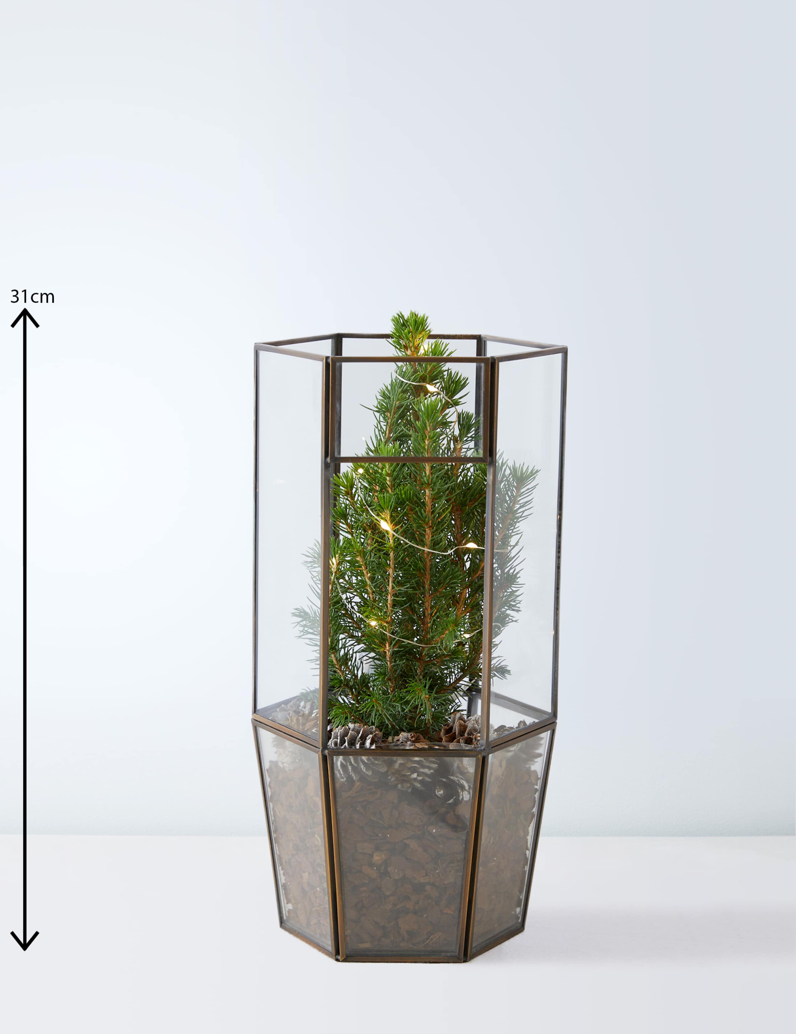 Make Your Own Light Up Tree Terrarium 4 of 6