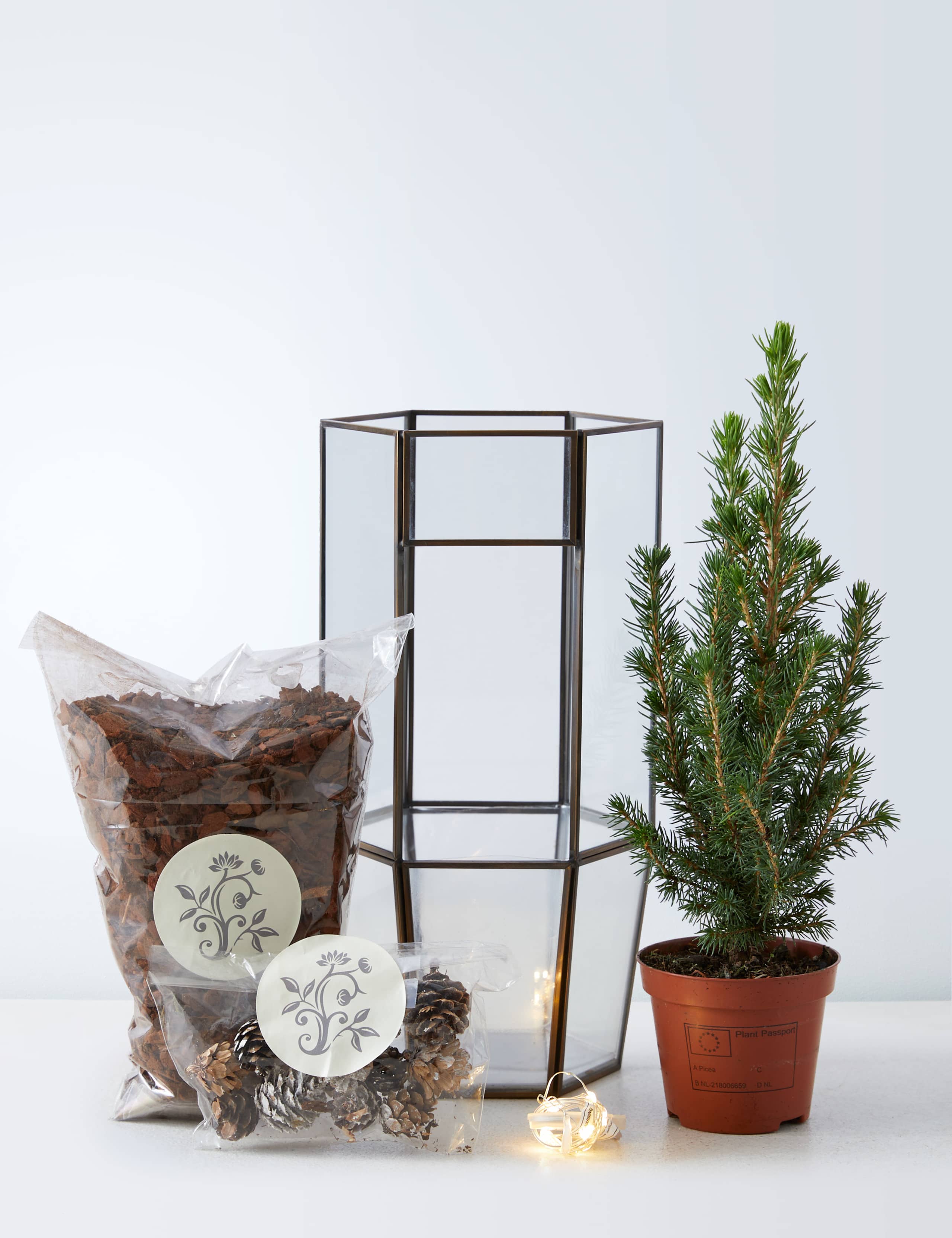 Make Your Own Light Up Tree Terrarium 6 of 6