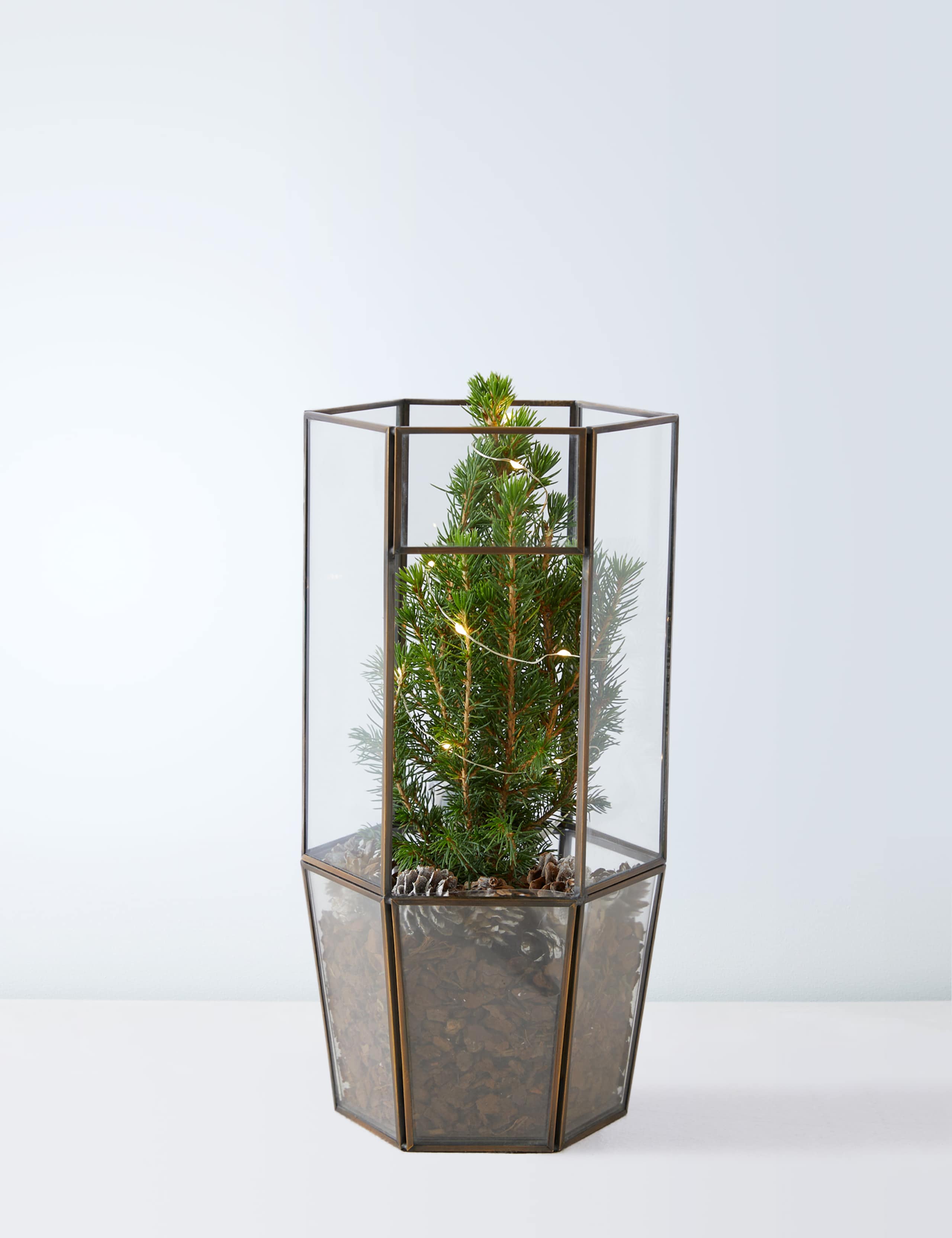 Make Your Own Light Up Tree Terrarium 2 of 6