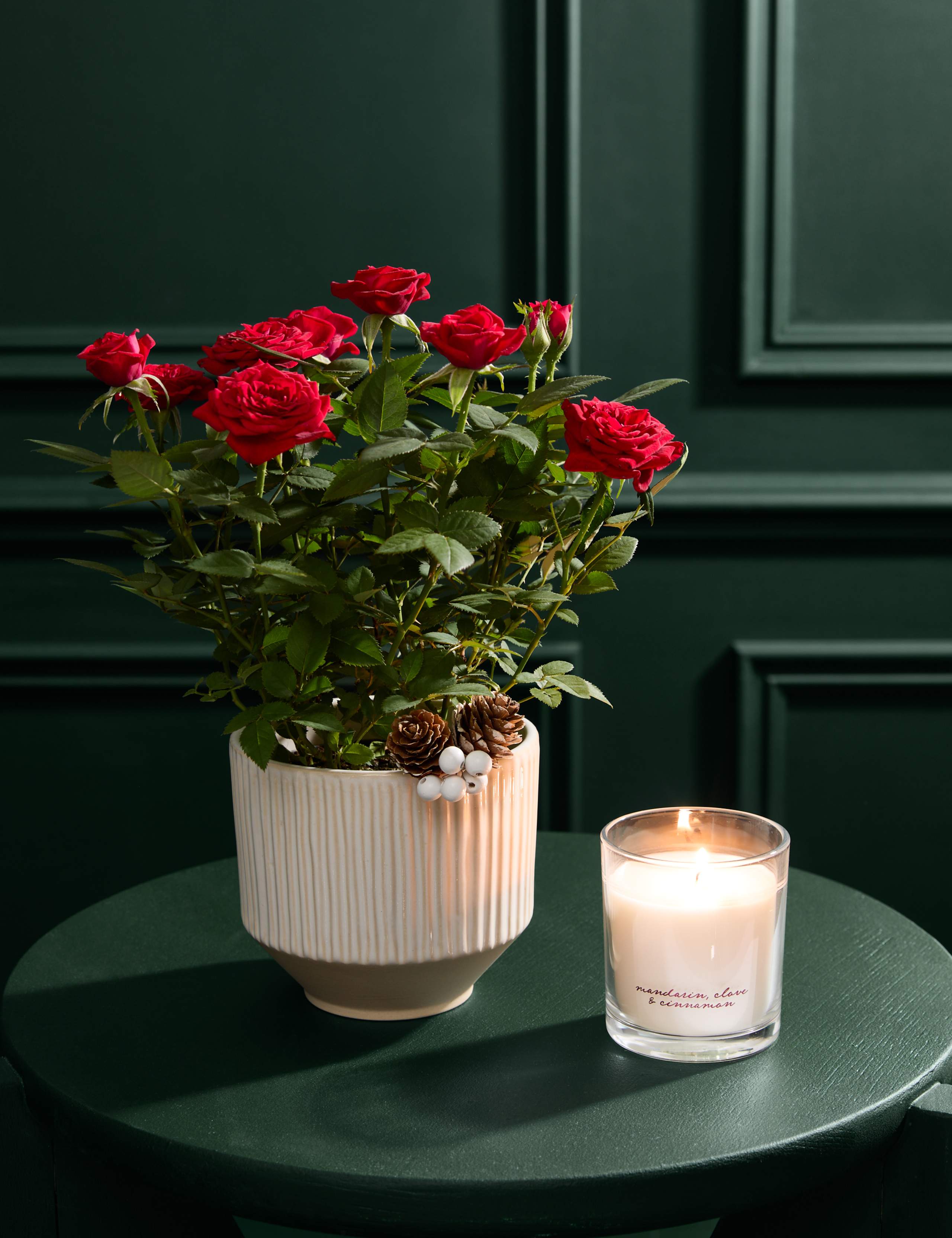 Christmas Red Rose with Christmas Candle 1 of 6