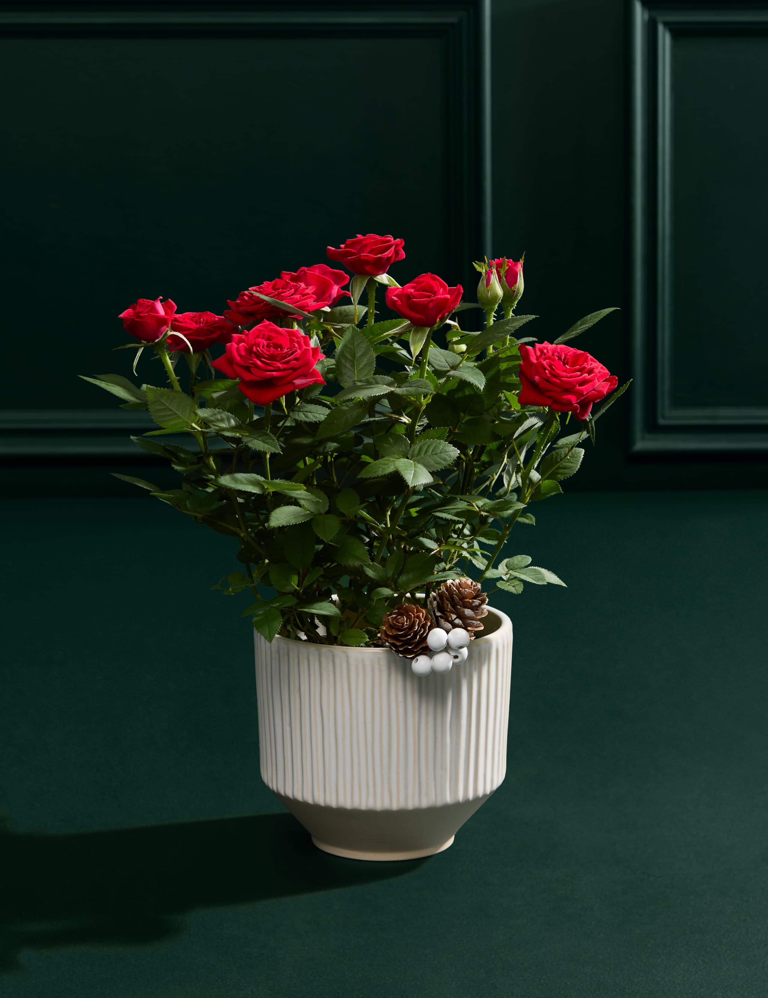 Christmas Red Rose with Christmas Candle 4 of 6