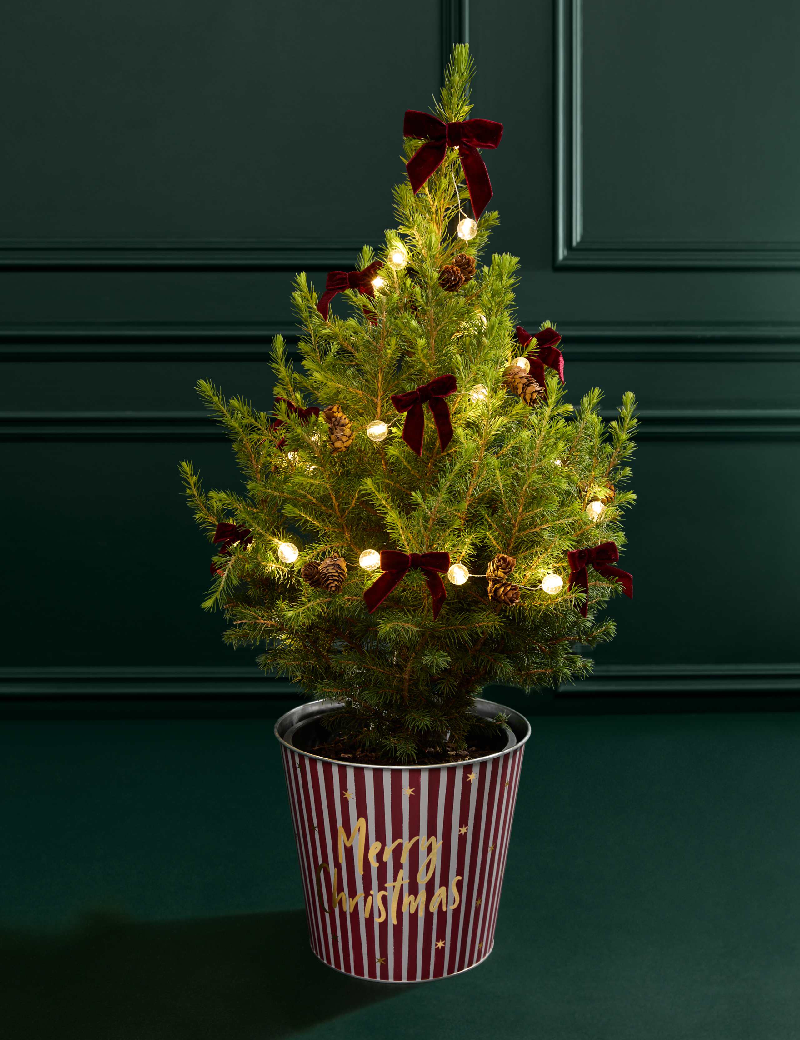 Luxury Christmas Tree with Merry Christmas Pot 1 of 2