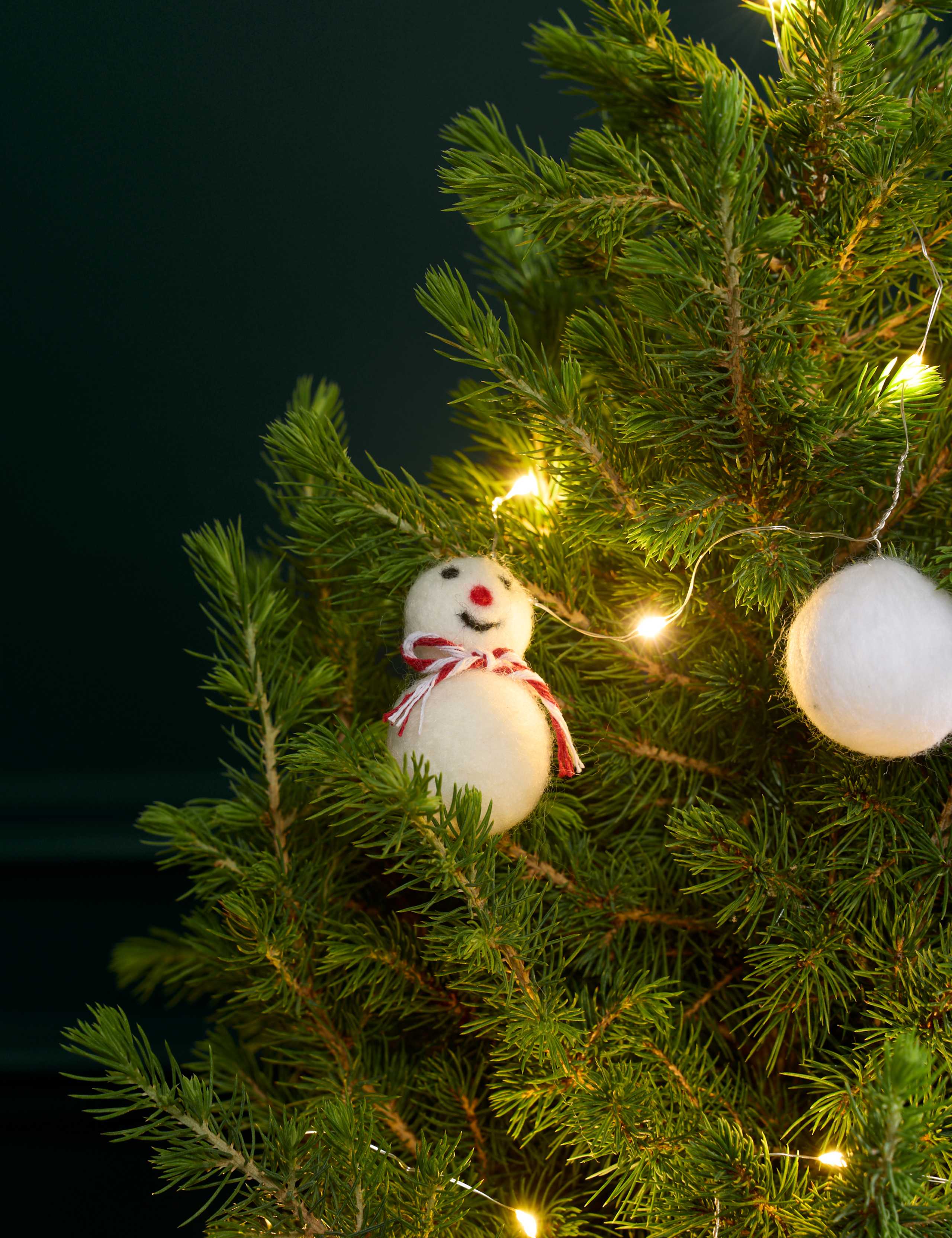 Large Real Christmas Tree in Birch Pot 70-80cm 2 of 3