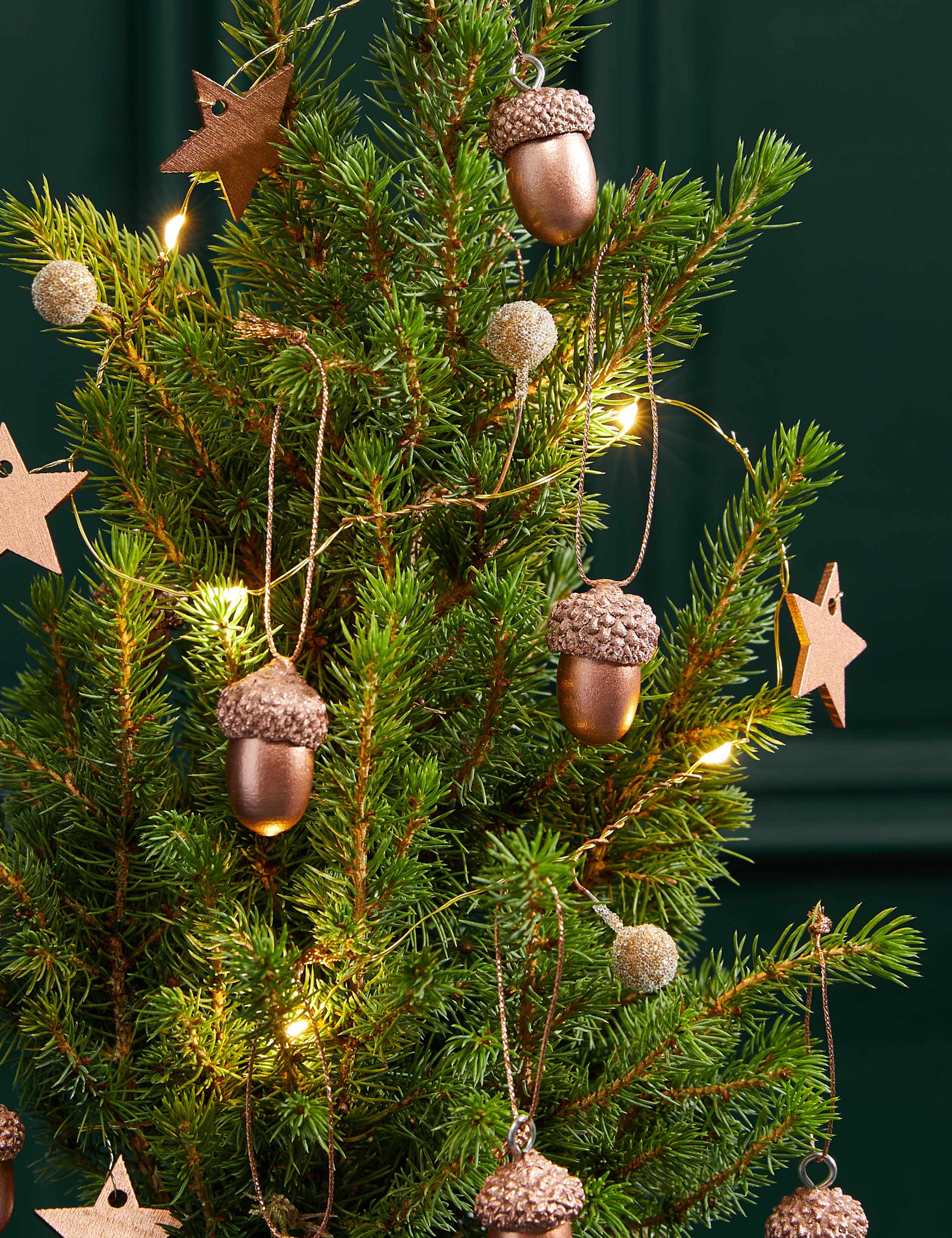 Acorn Letterbox Tree 2 of 3