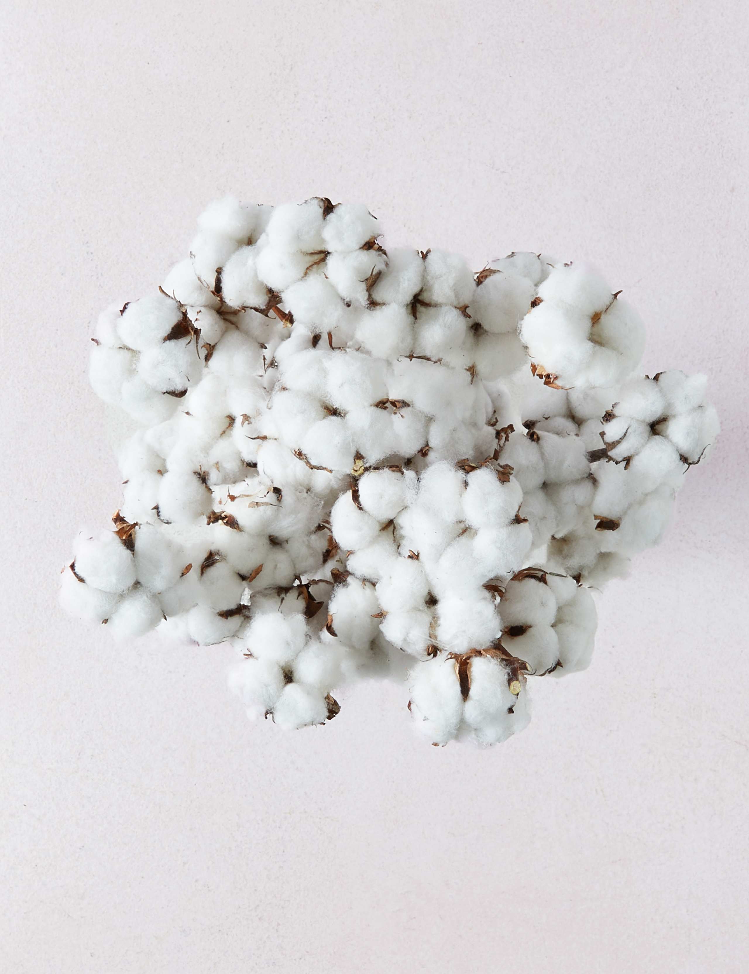 Cotton Abundance Bouquet 2 of 4