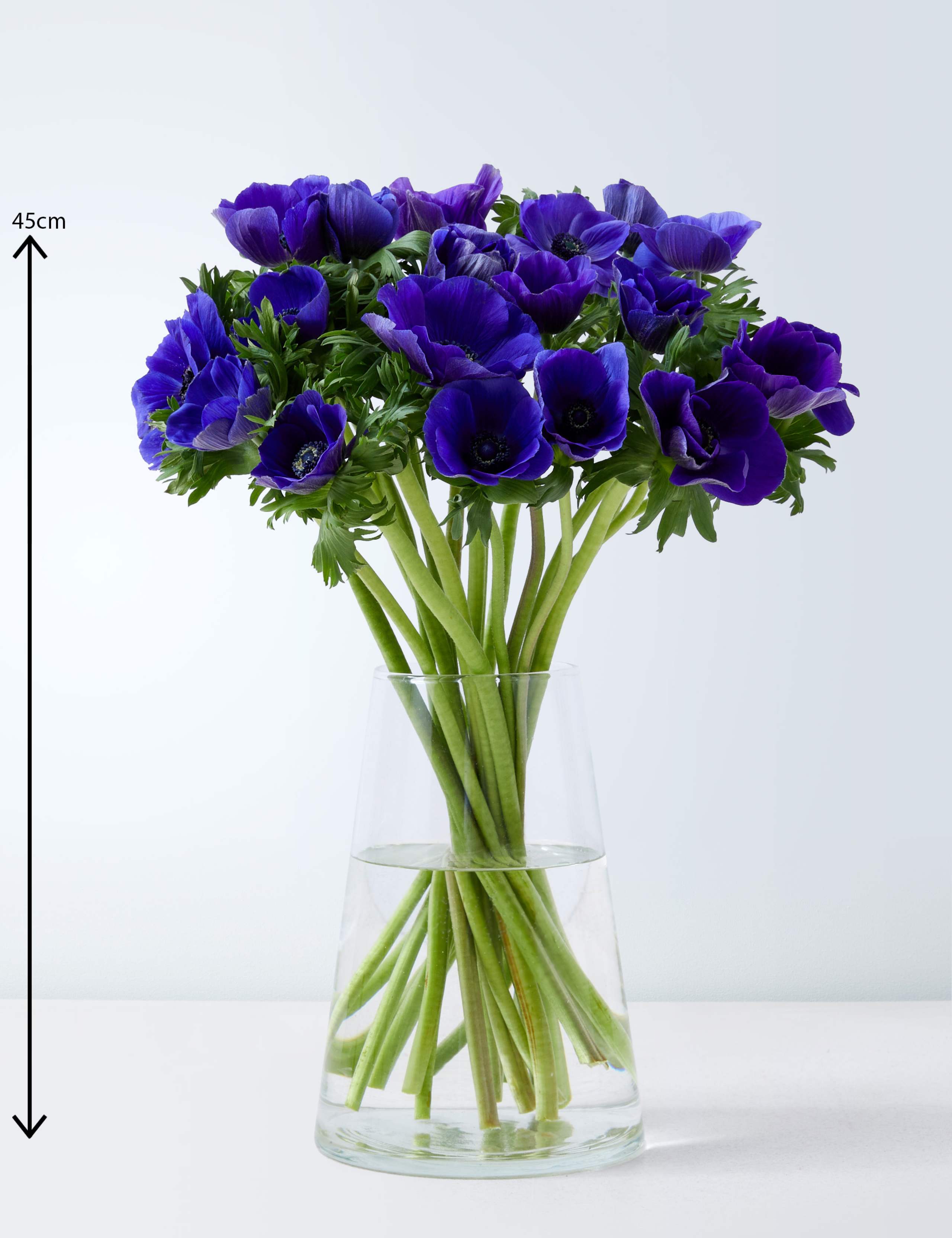 Blue Anemone Abundance Flowers Bouquet (Delivery from 5th December 2022) 3 of 4