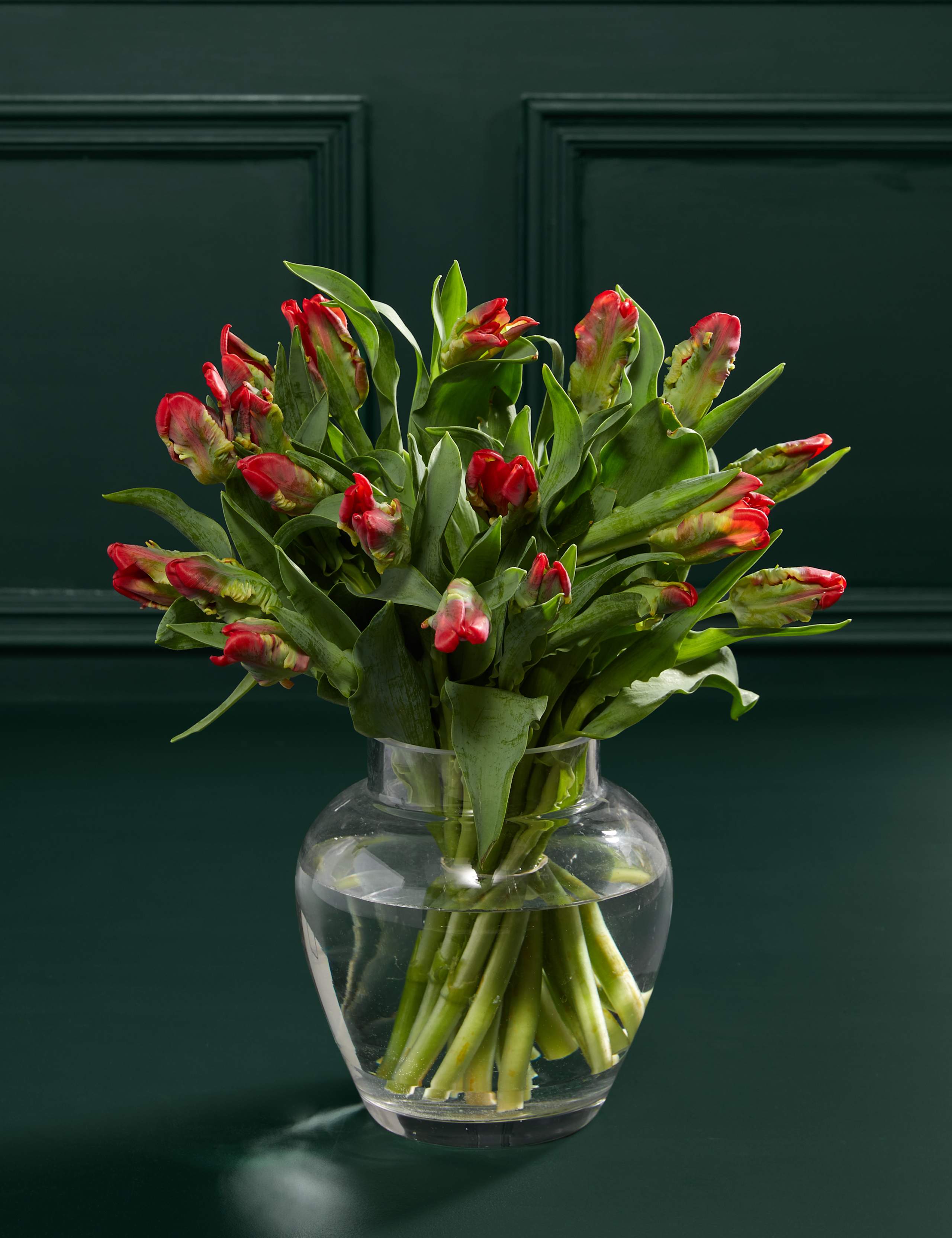 Red Parrot Tulip Abundance Bouquet 1 of 3