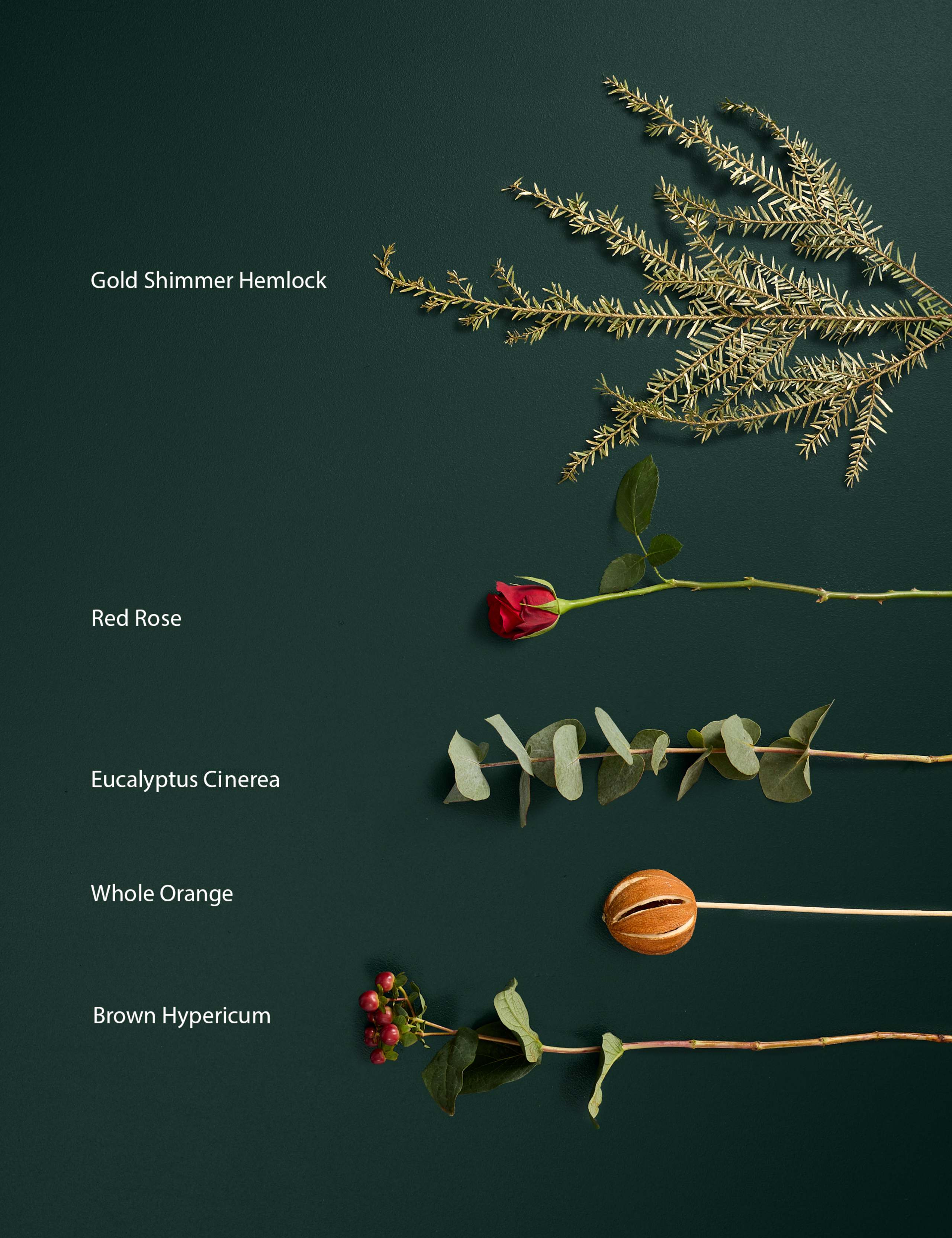 Festive Red Rose Eucalyptus & Hypericum 4 of 7