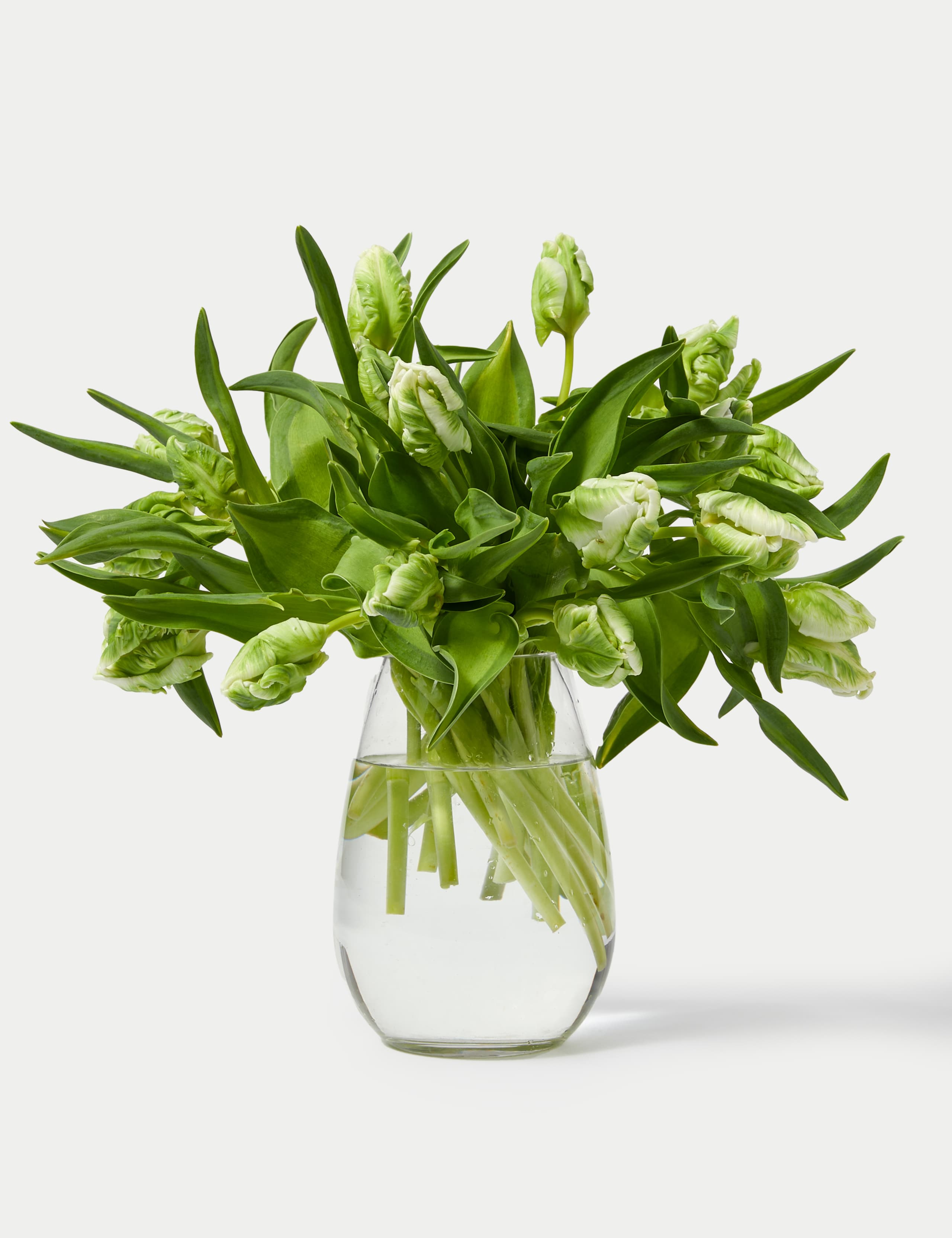 White Parrot Tulip Abundance Bouquet 3 of 5
