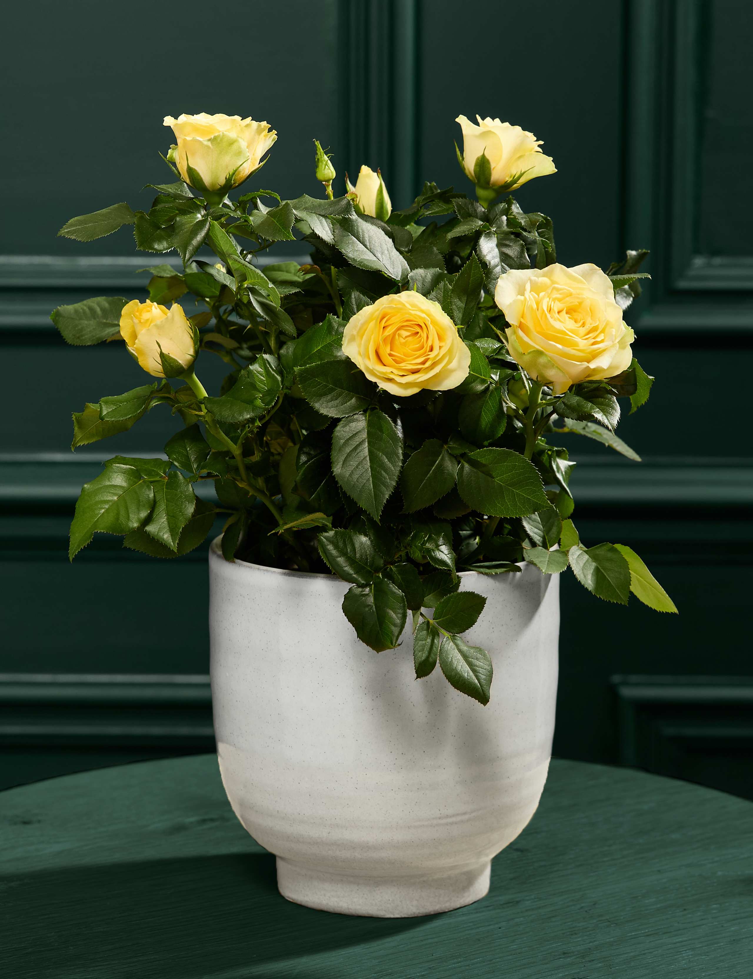Rose in Ceramic 1 of 3