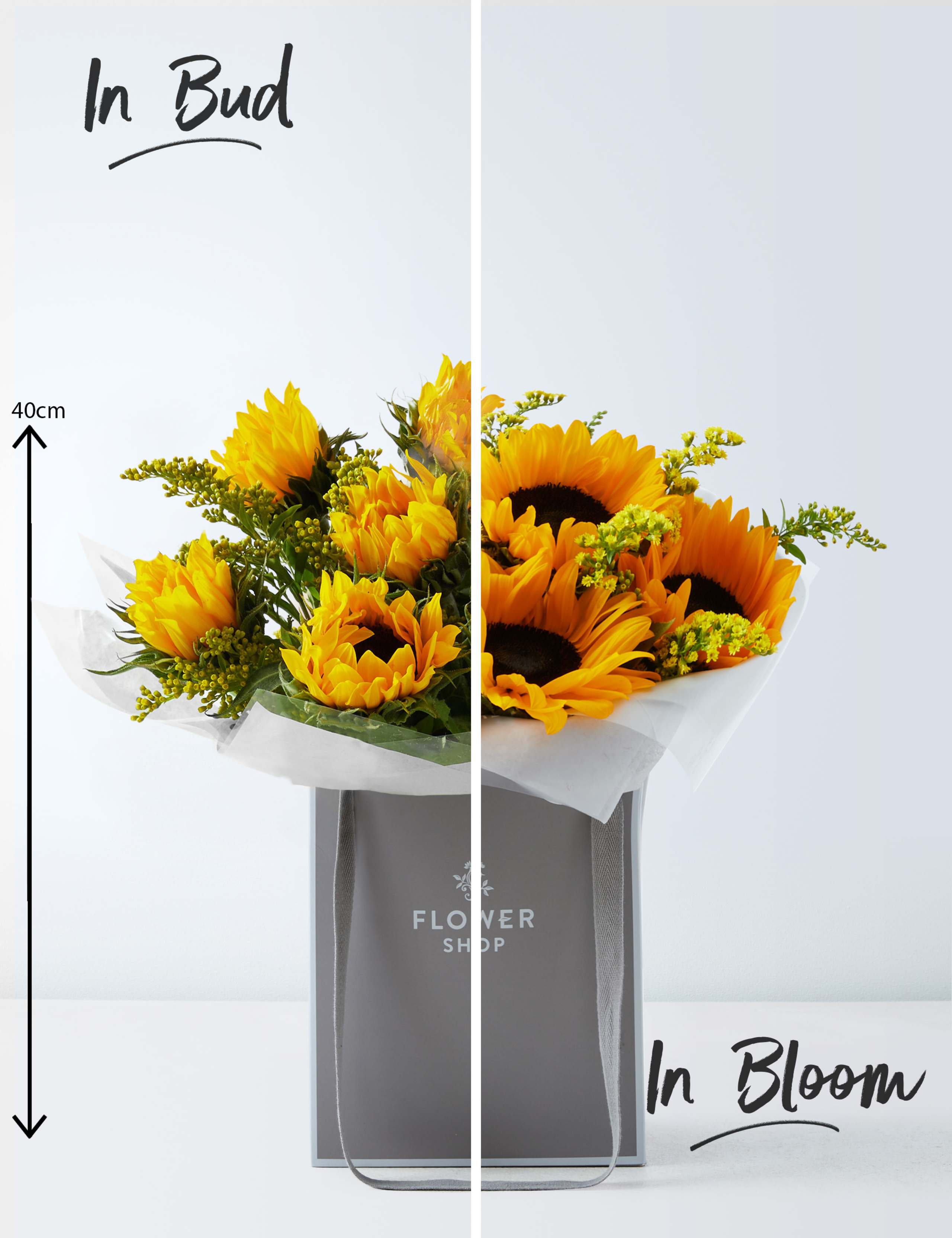 Sunflower Gift Bag with Grow Your Own Sunflowers Brick 3 of 6