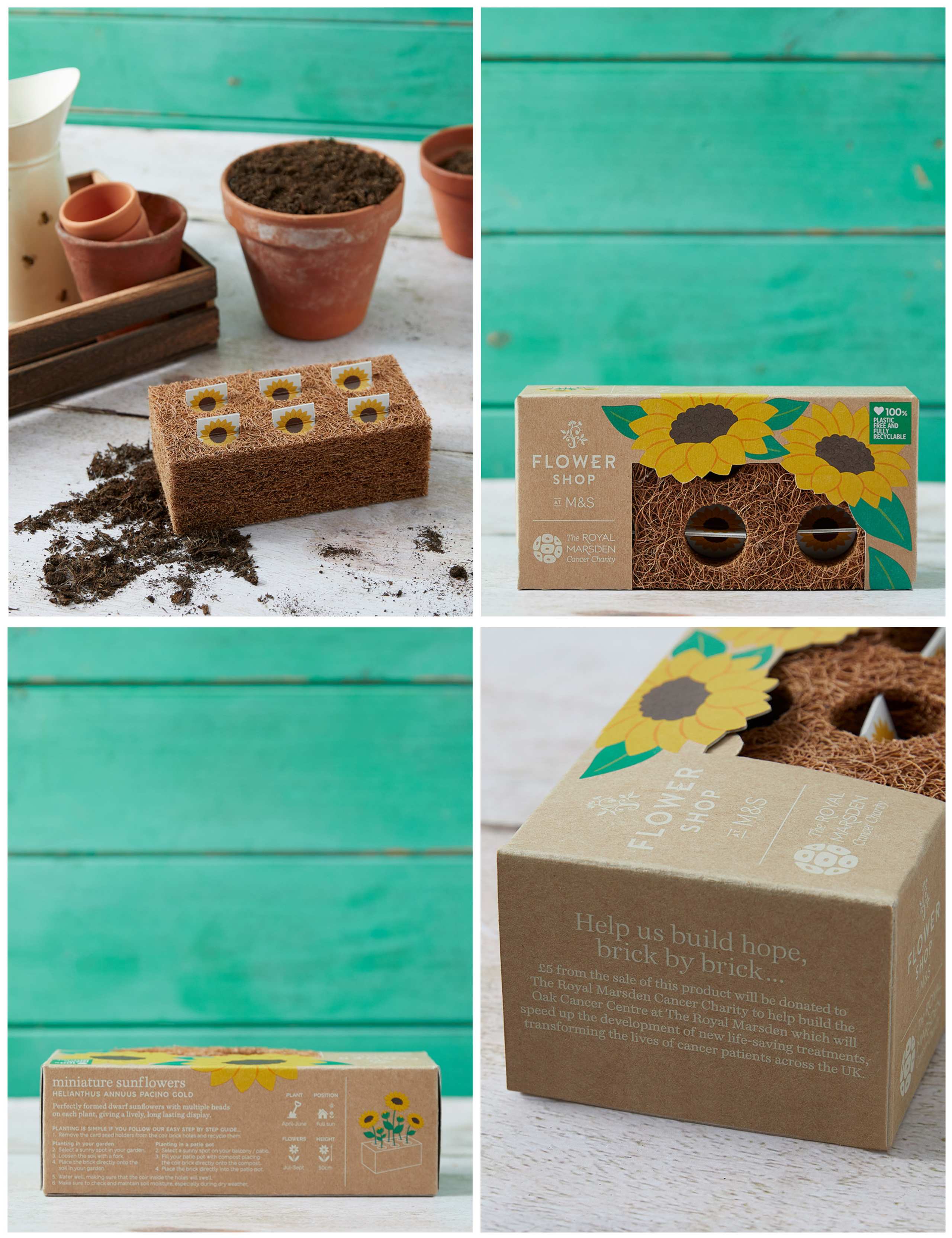 Sunflower Gift Bag with Grow Your Own Sunflowers Brick 5 of 6