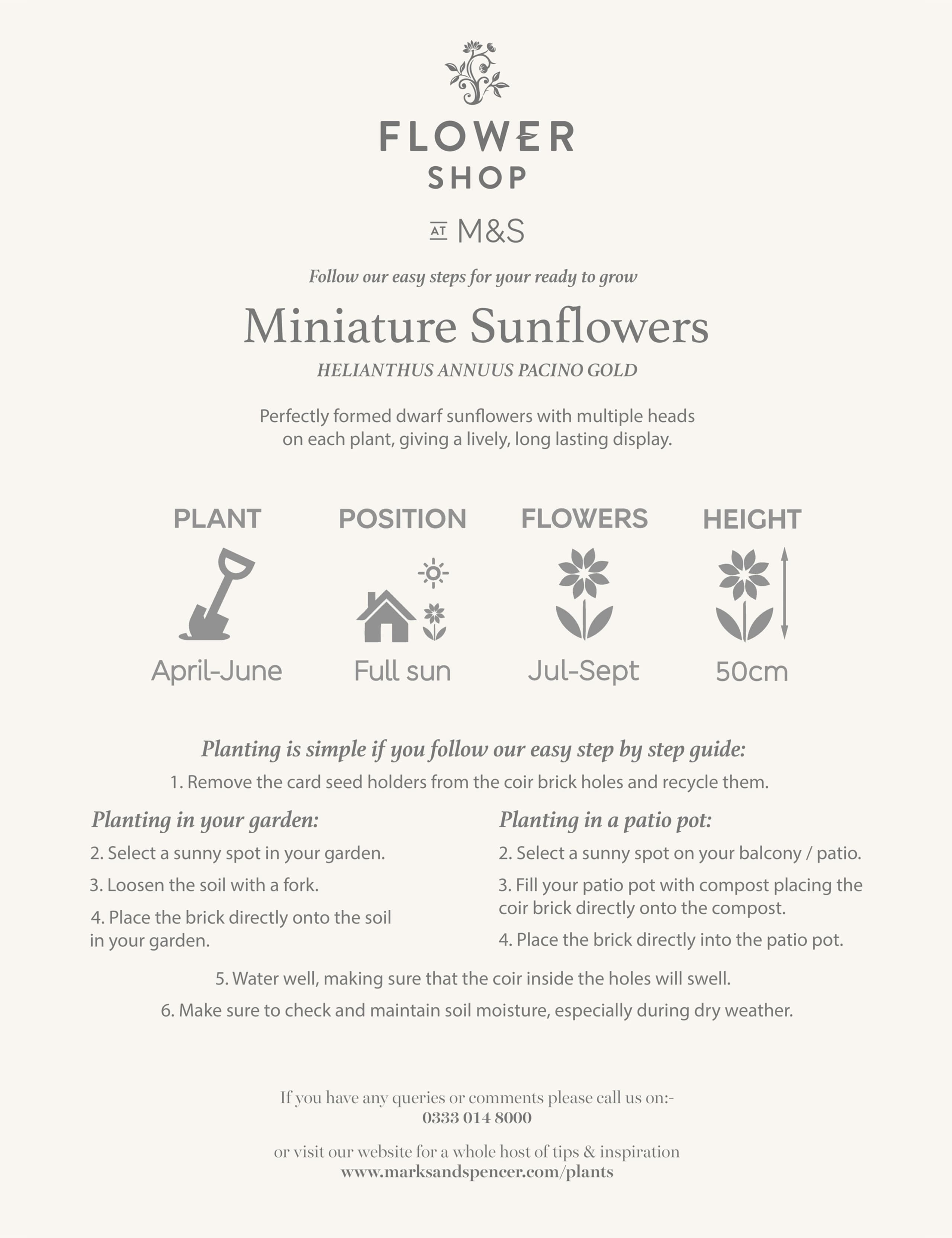 Sunflower Gift Bag with Grow Your Own Sunflowers Brick 6 of 6