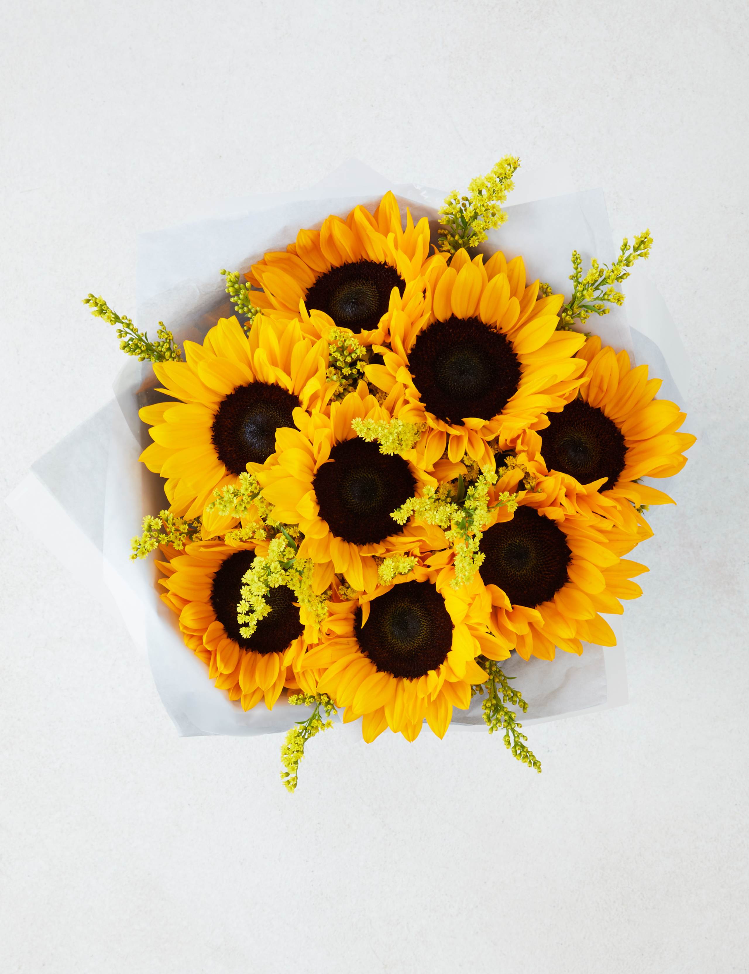 Sunflower Gift Bag with Grow Your Own Sunflowers Brick 2 of 6