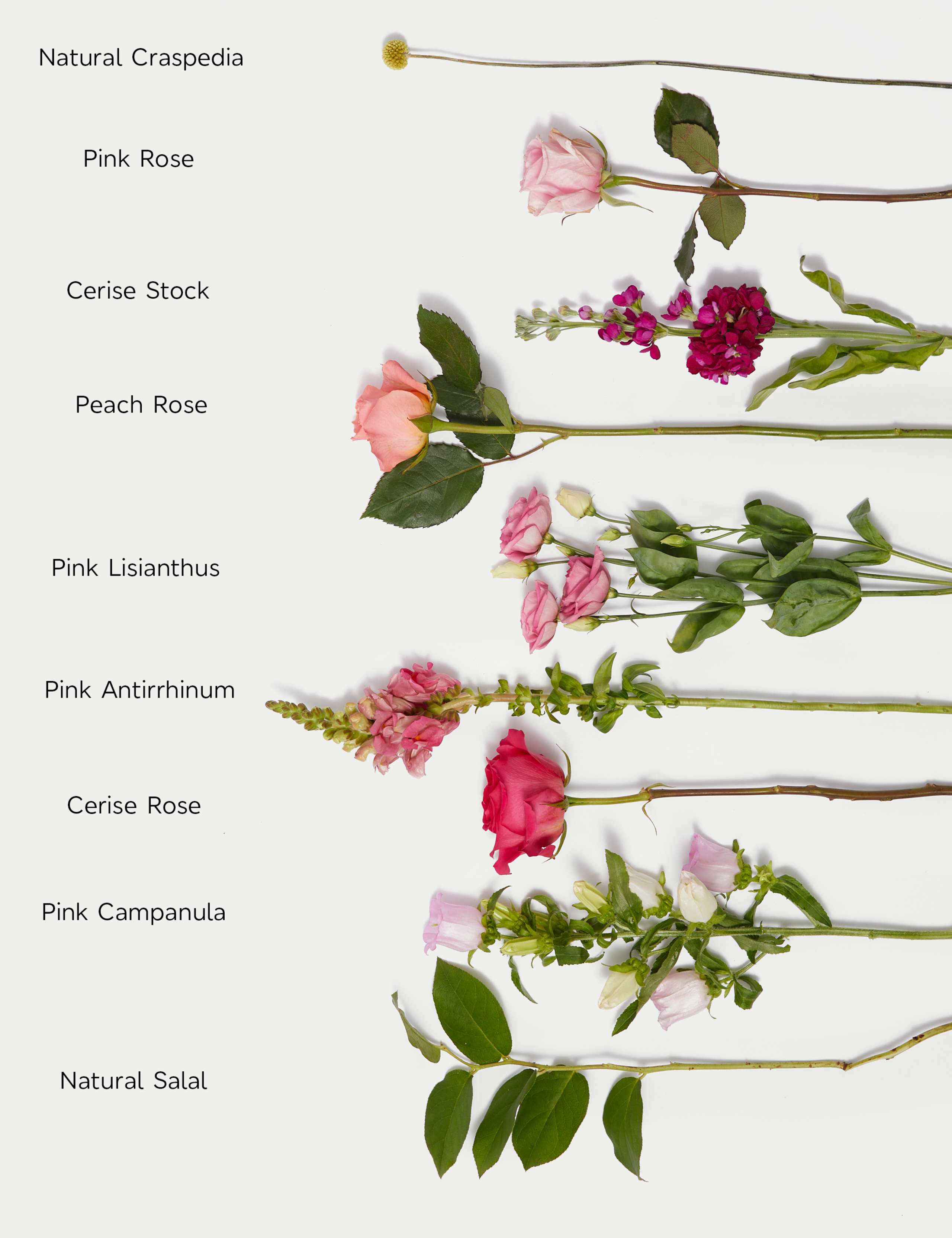 Easter Rose & Lisianthus Bouquet 5 of 5