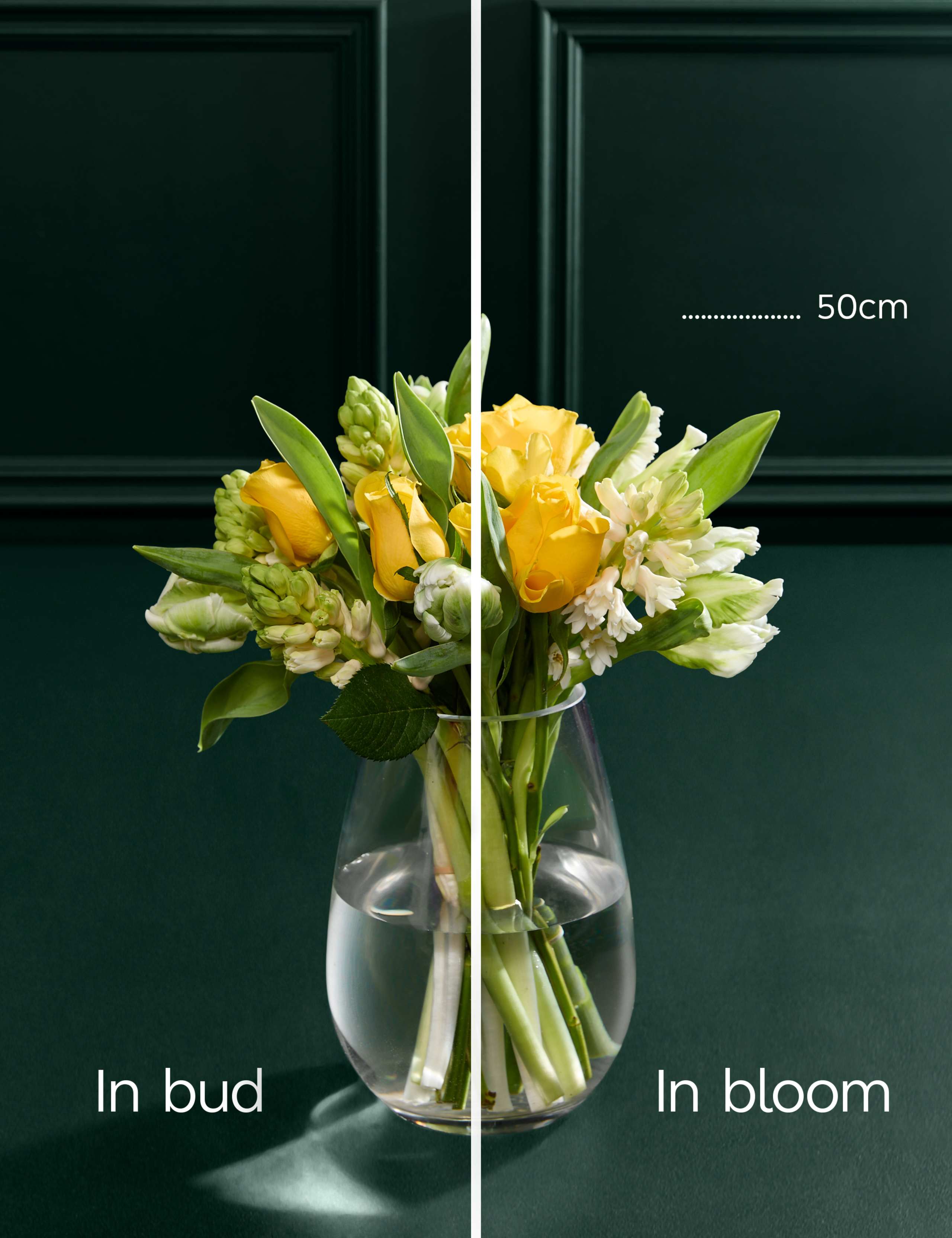 Easter Rose, Tulip & Hyacinth Bouquet 4 of 7