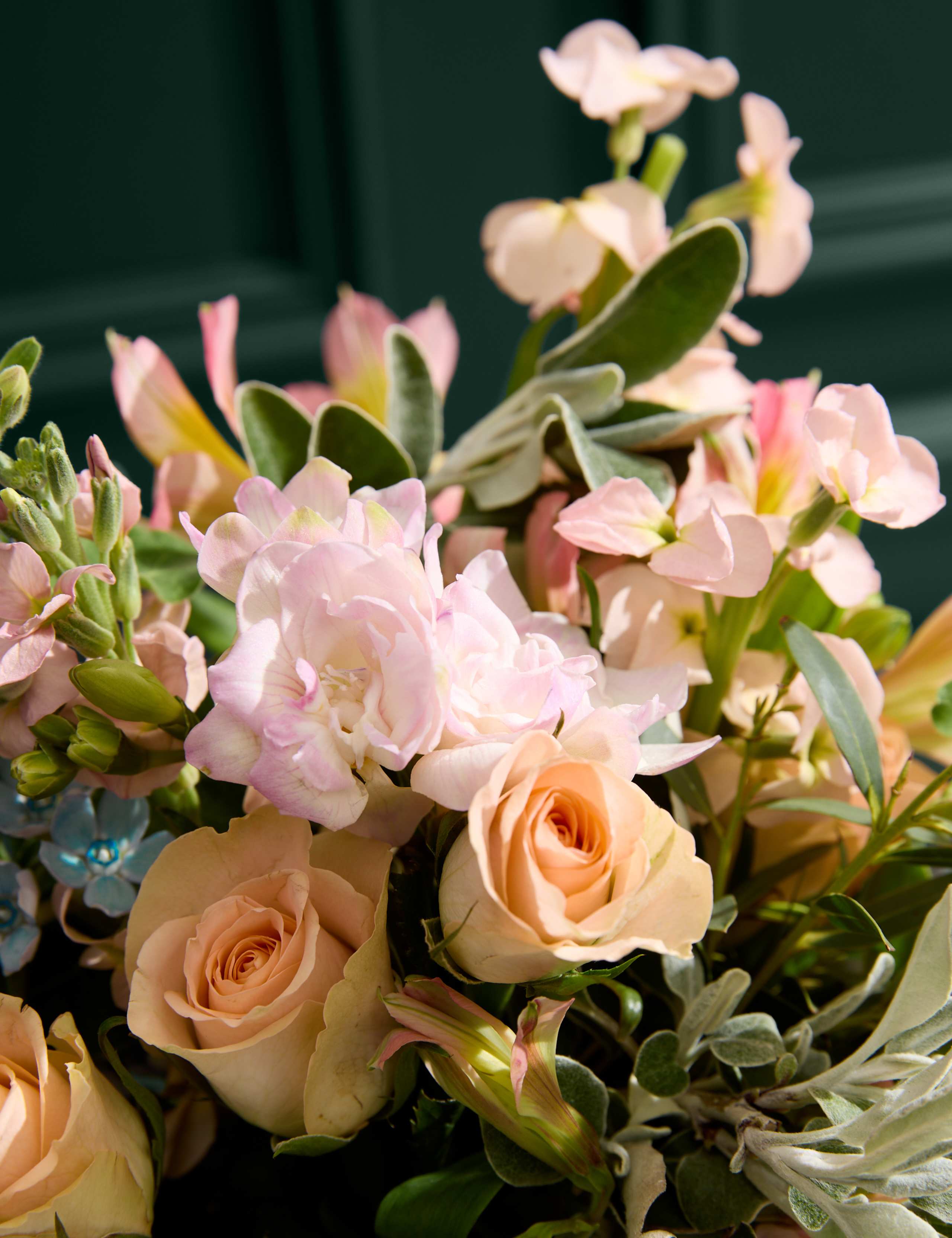 Sweetly Scented Freesia, Tweedia & Stock Bouquet 3 of 6