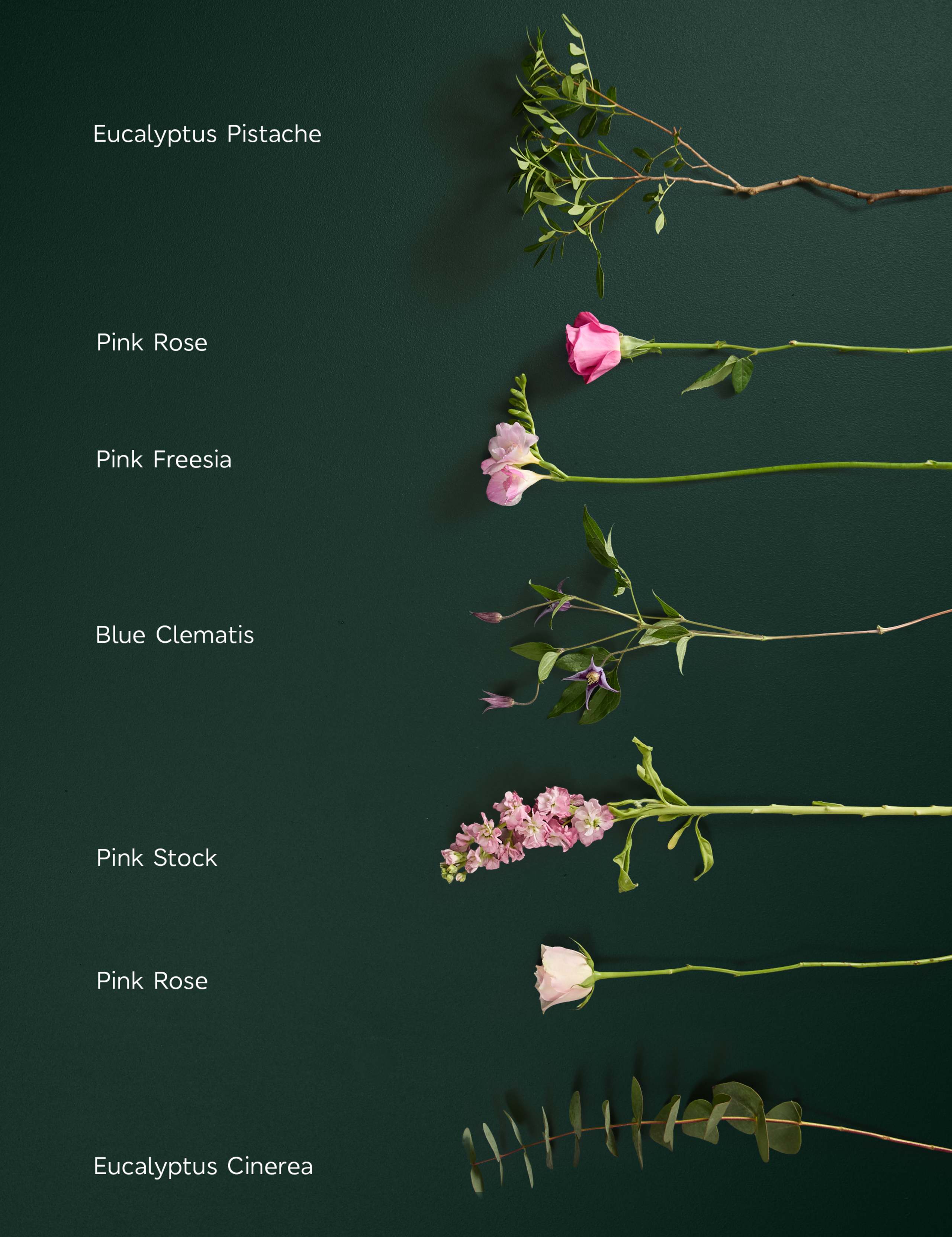 Sweetly Scented Freesia & Rose Bouquet 4 of 7