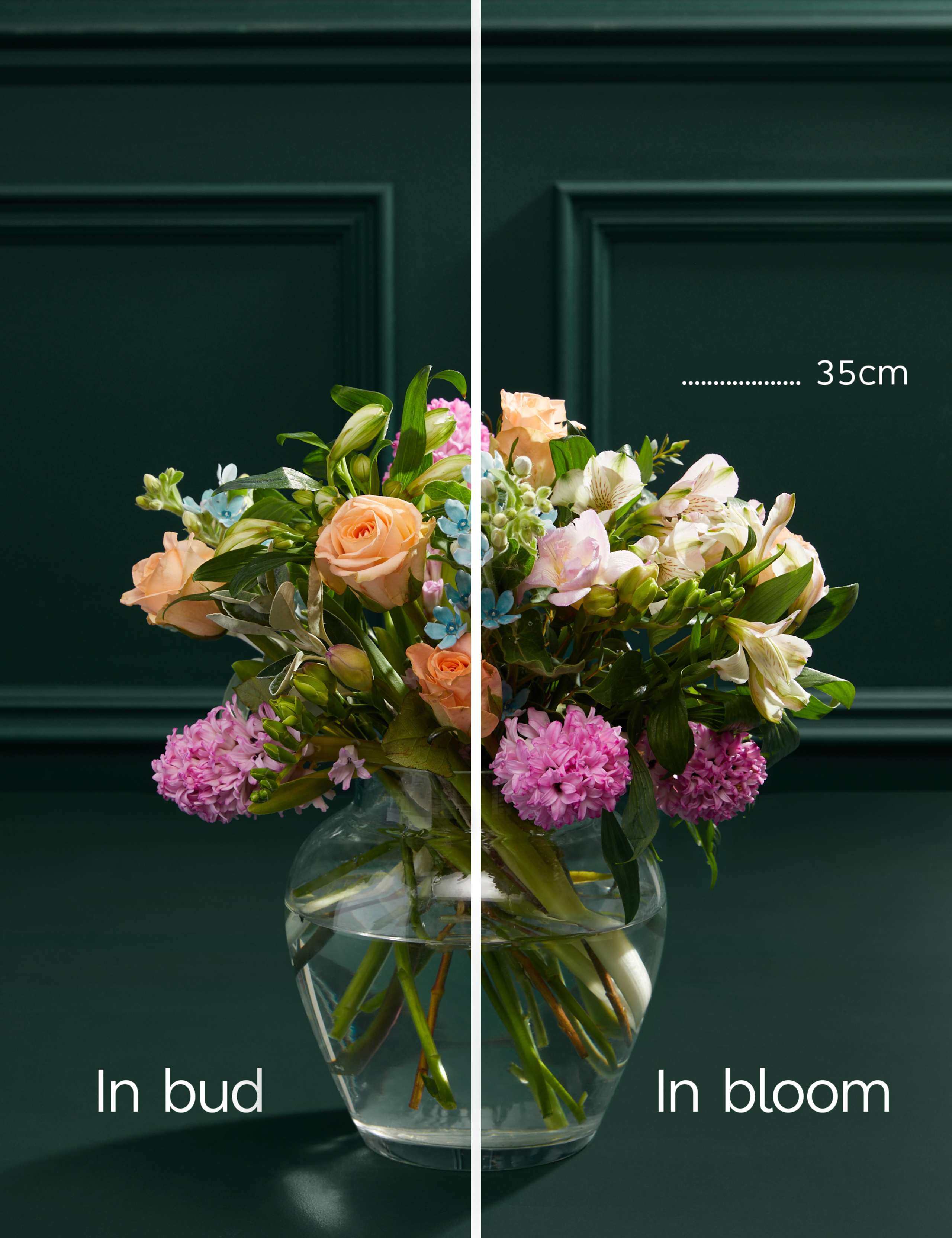 Sweetly Scented Freesia & Hyacinth Bouquet 5 of 7