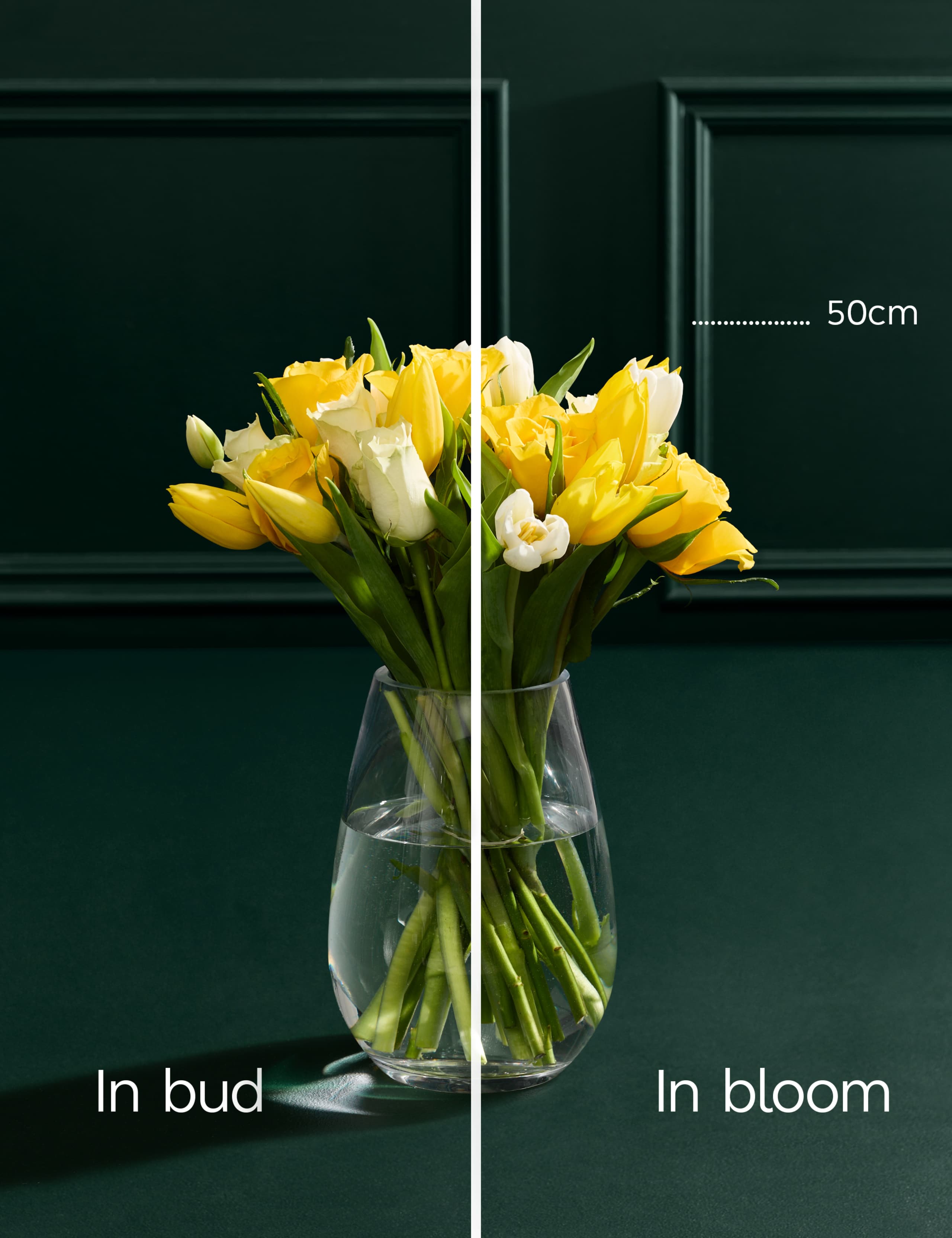 Rose & Tulip Bouquet 5 of 7