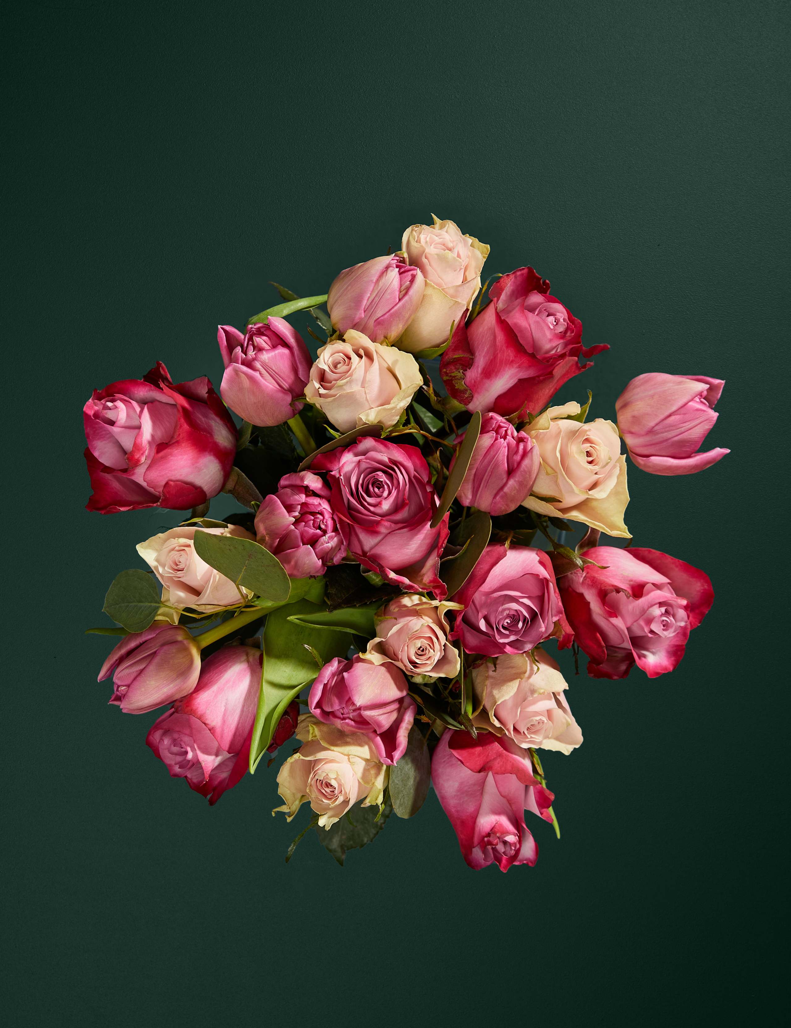 Rose, Germini & Stock 2 of 5