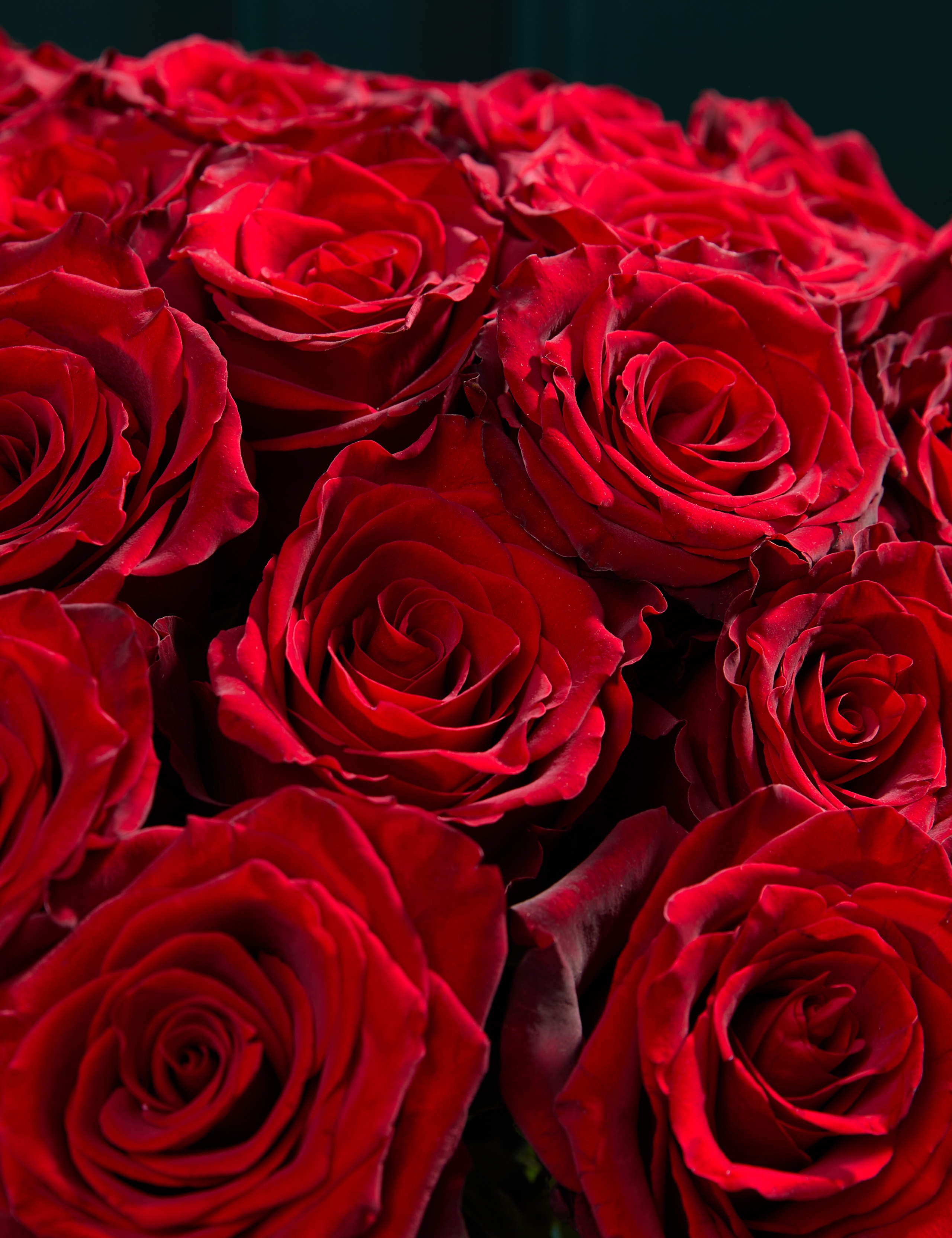 Exquisite Red Rose Bouquet 4 of 7