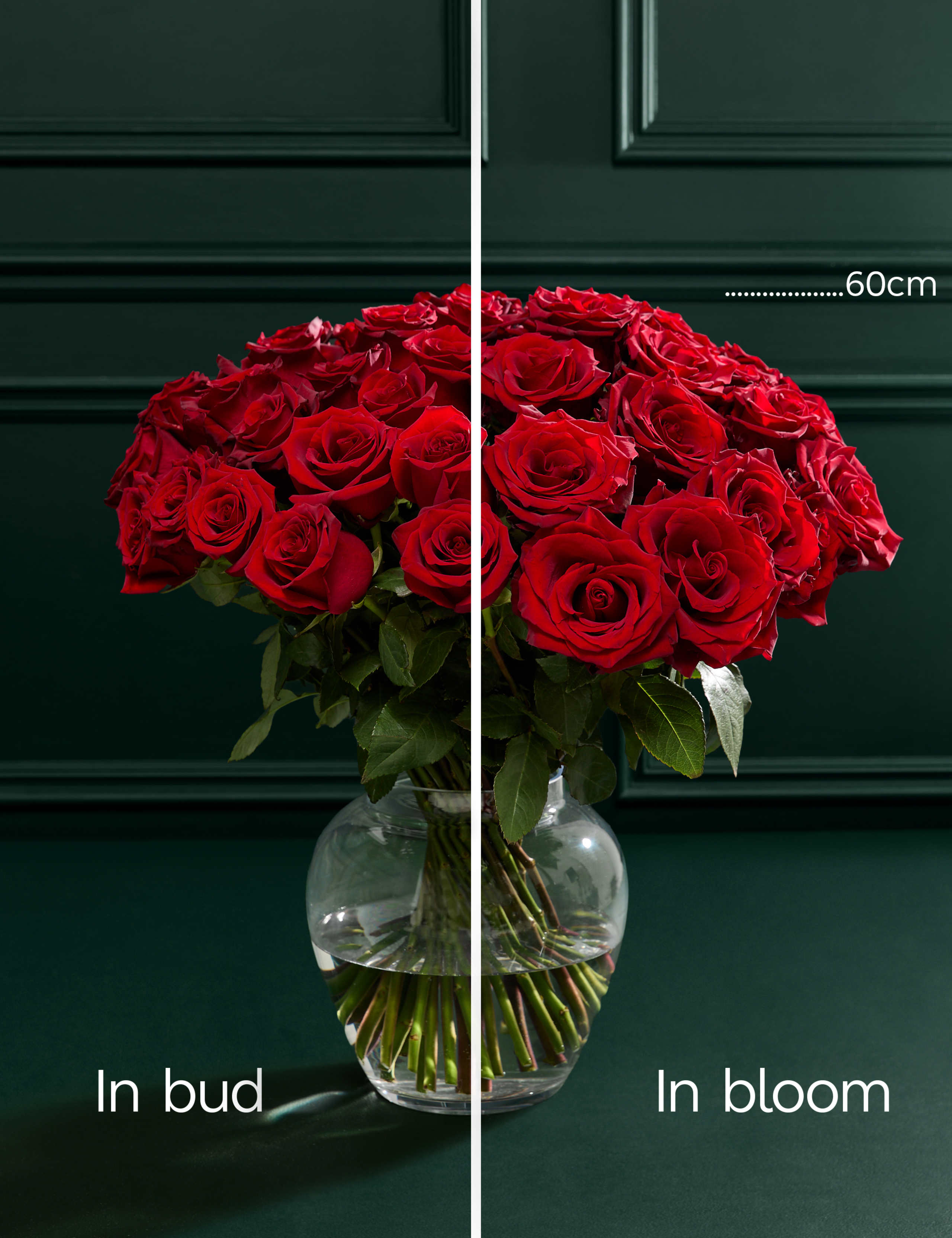 Valentine's Exquisite Red Rose Bouquet 5 of 8