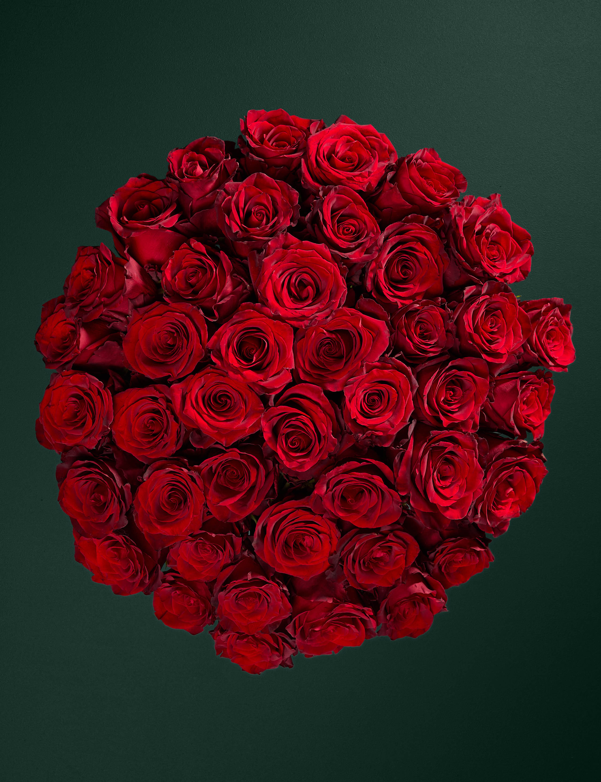 Exquisite Red Rose Bouquet 2 of 7