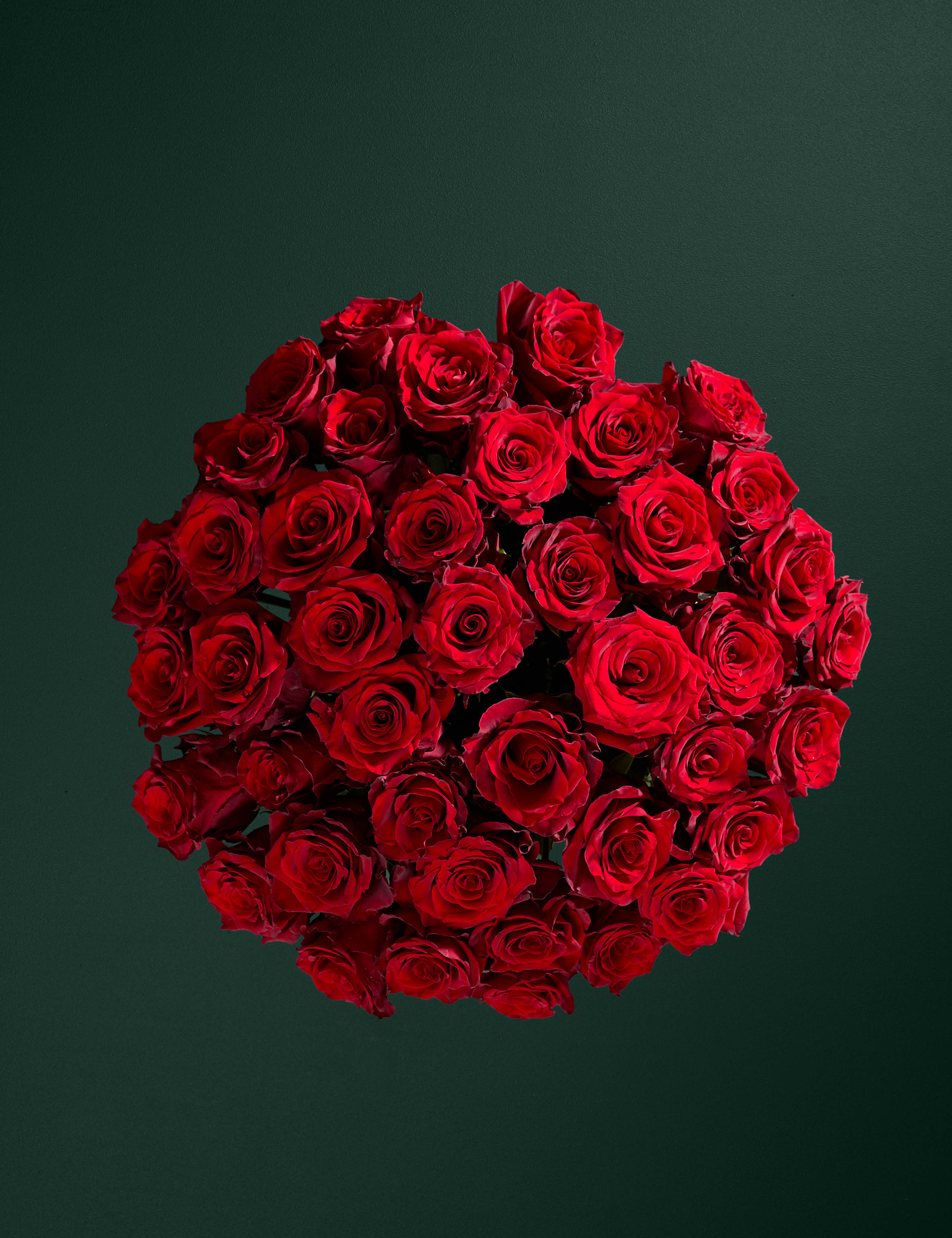Valentine's Exquisite Red Rose Bouquet 2 of 8
