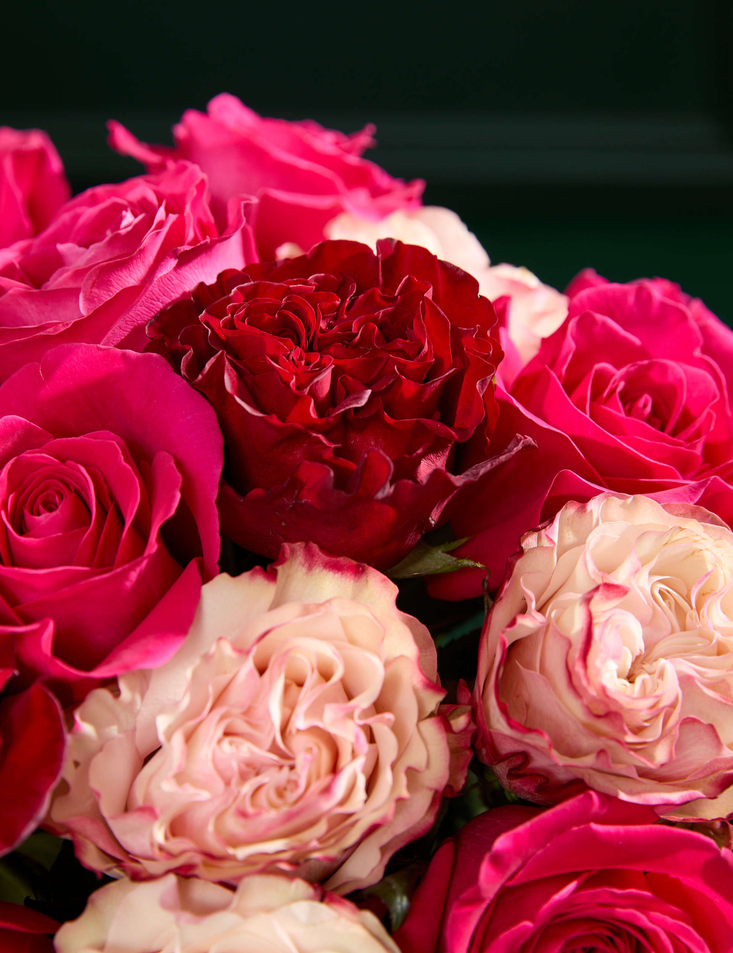 Valentine's Cerise, Red and Pink Mixed Rose Bouquet 3 of 6