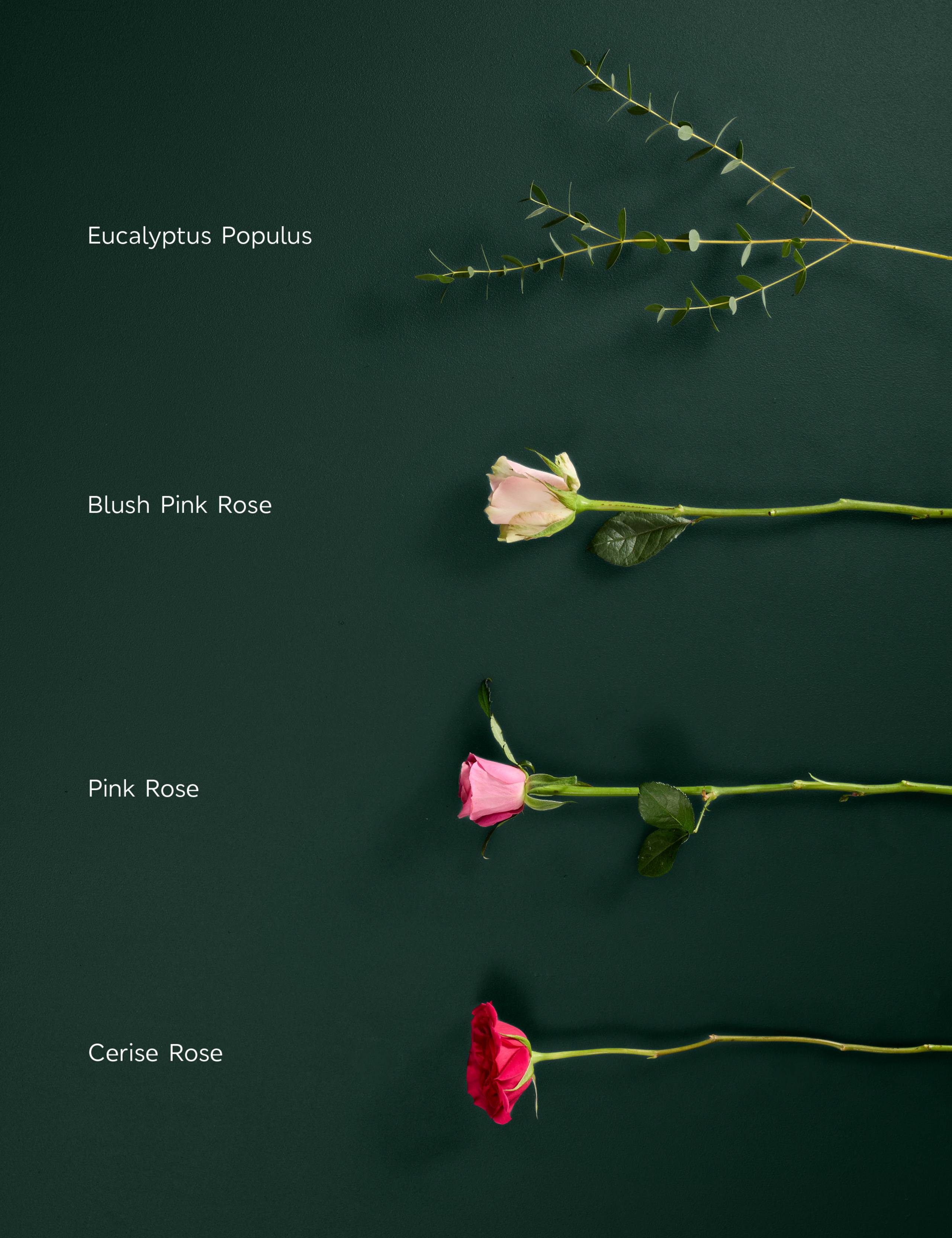 Valentine's Mixed Rose Bouquet with Vase 5 of 8