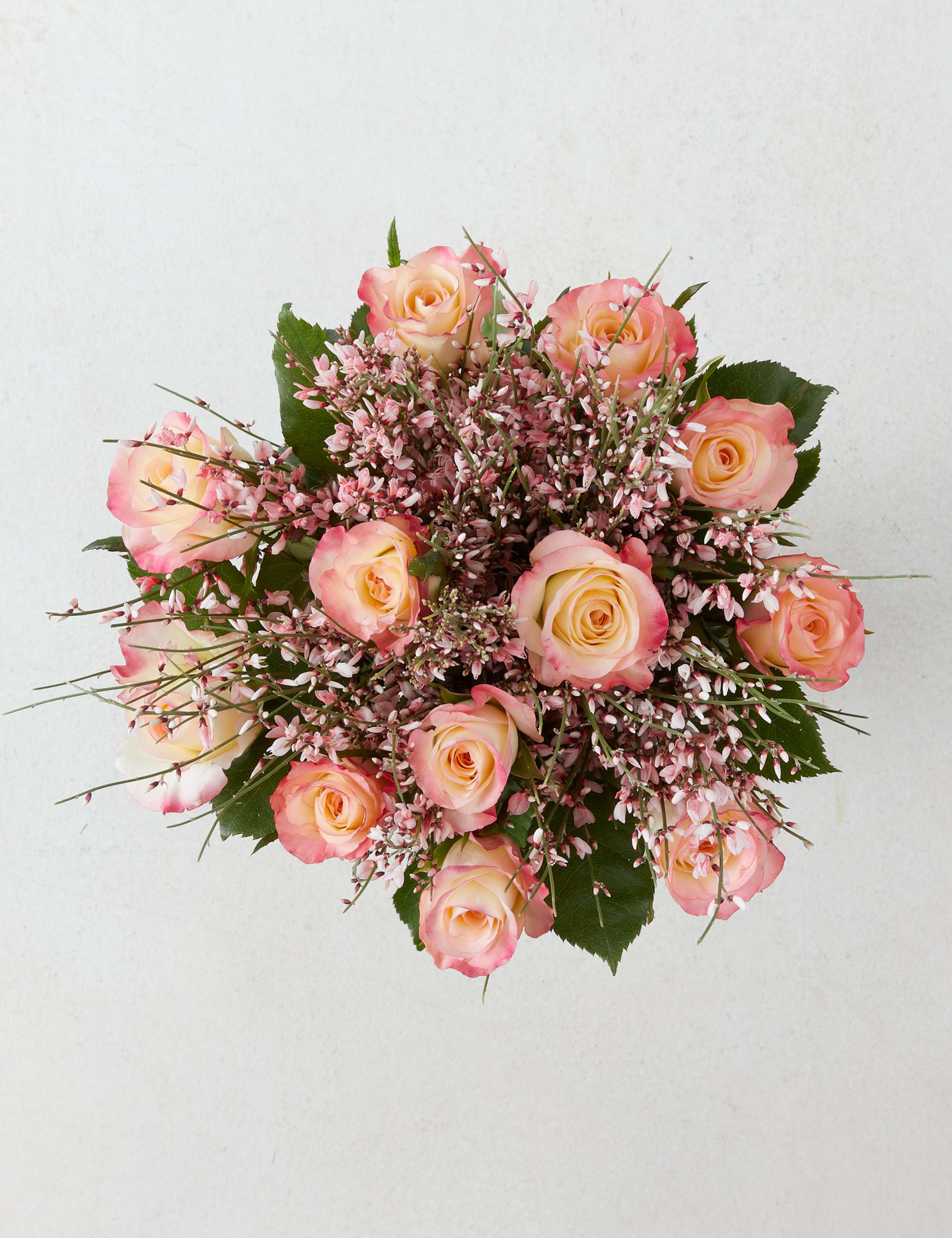 Dozen Pink Roses & Prosecco Bundle | M&S