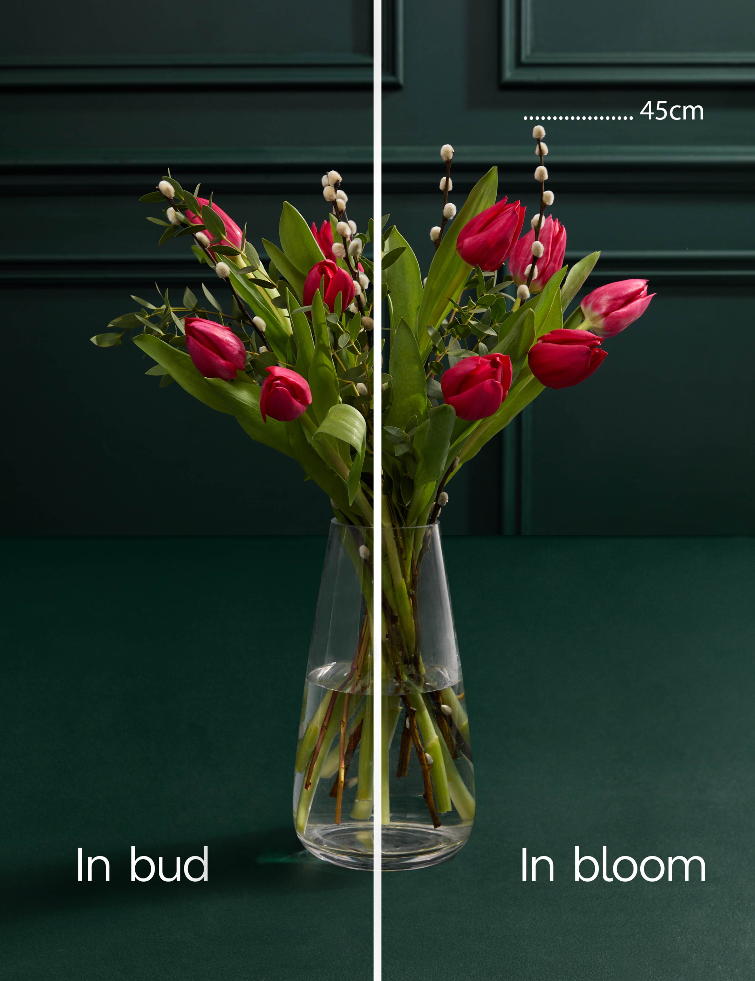 Valentine's Red Tulip Abundance Bouquet 3 of 5