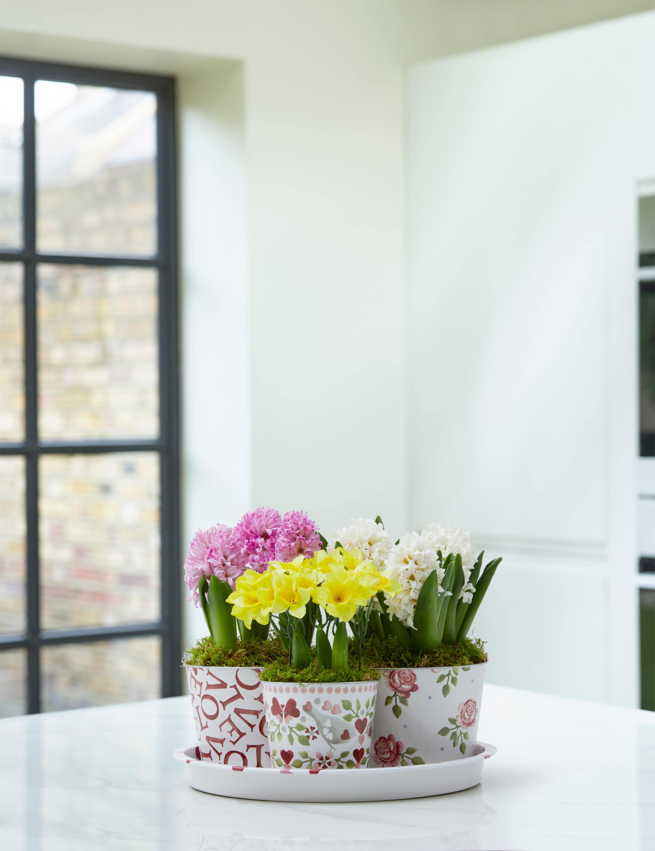 Emma Bridgewater Bulb Collection 1 of 4