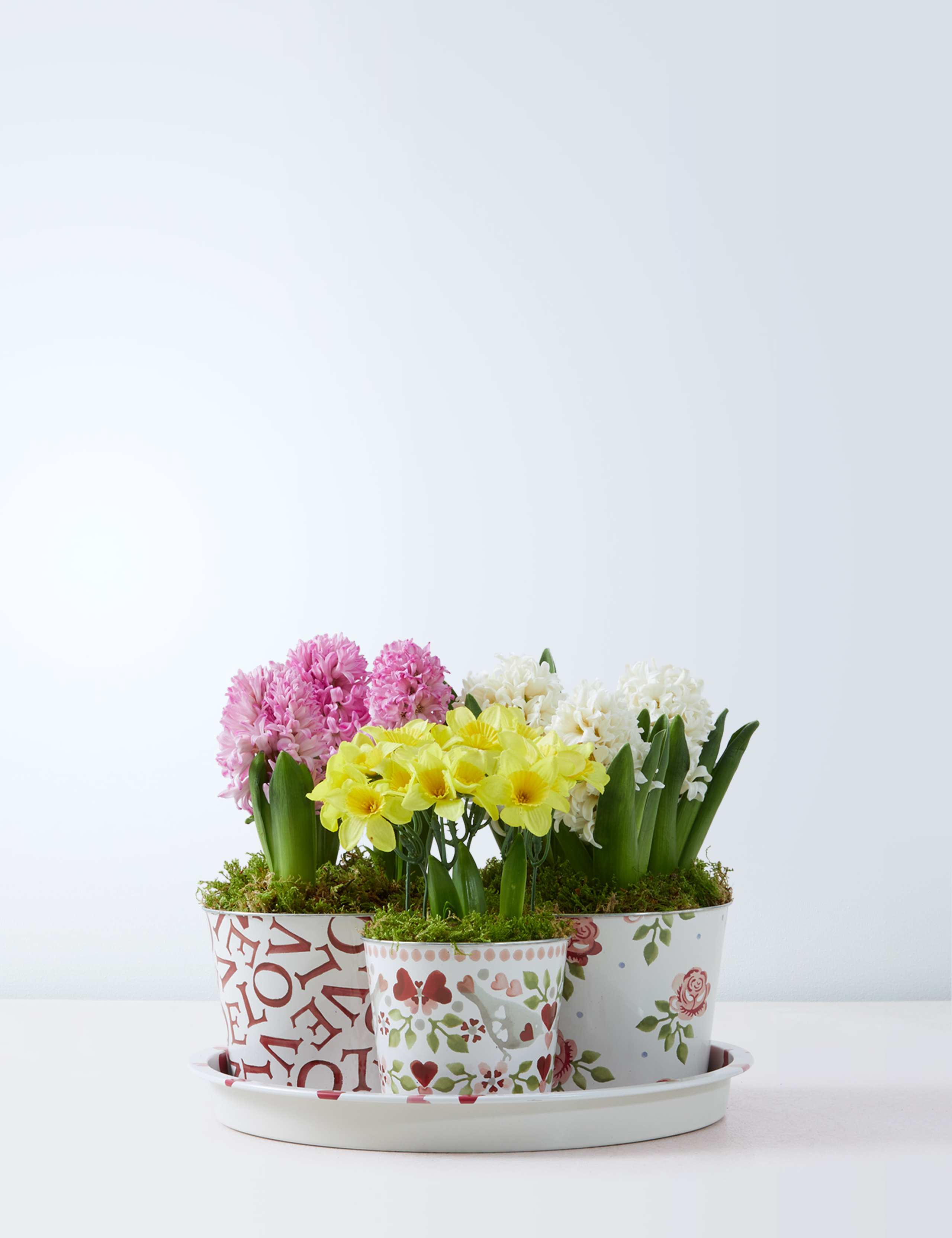 Emma Bridgewater Bulb Collection 2 of 4
