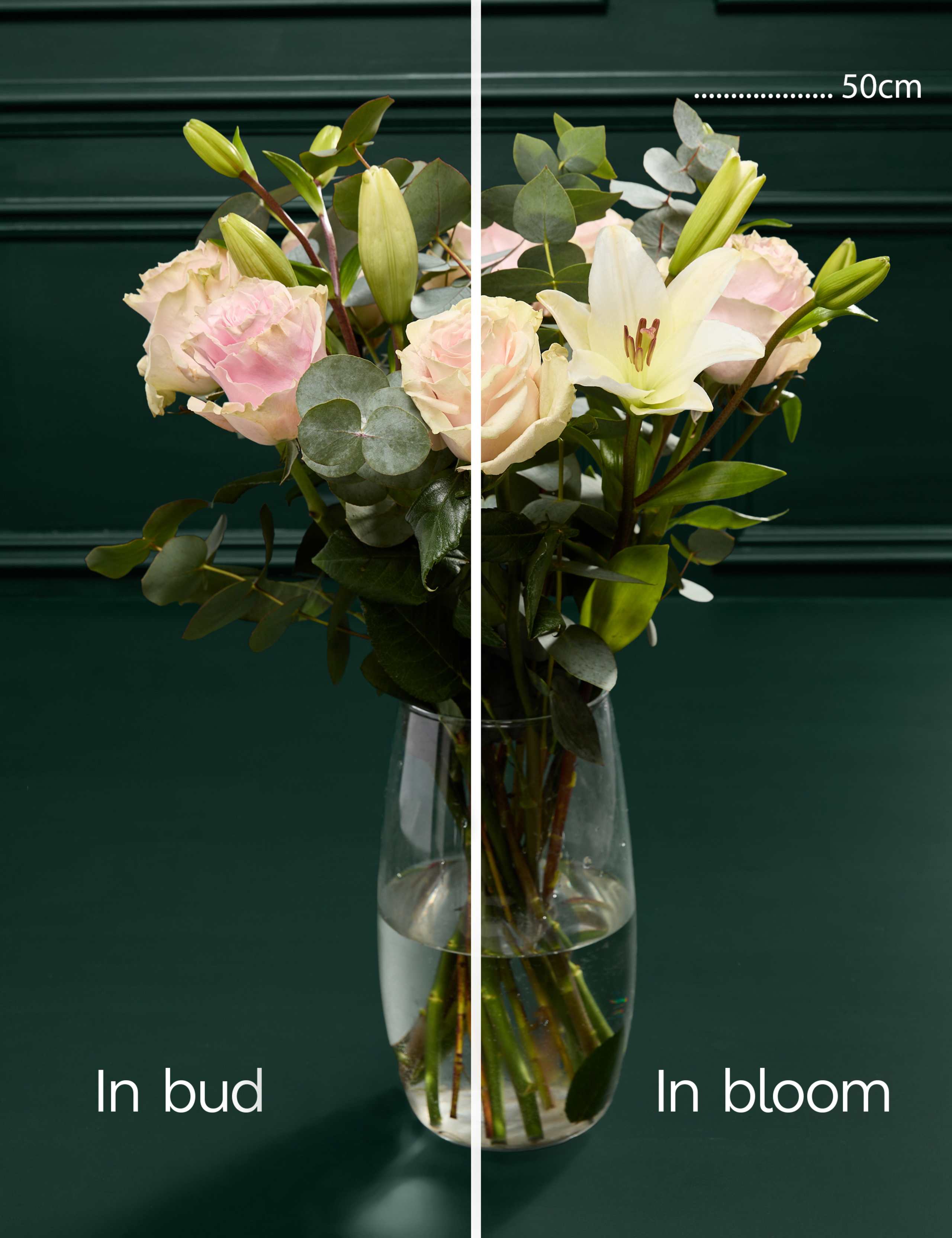 Radiant Pink Rose & Lily Bouquet 4 of 6
