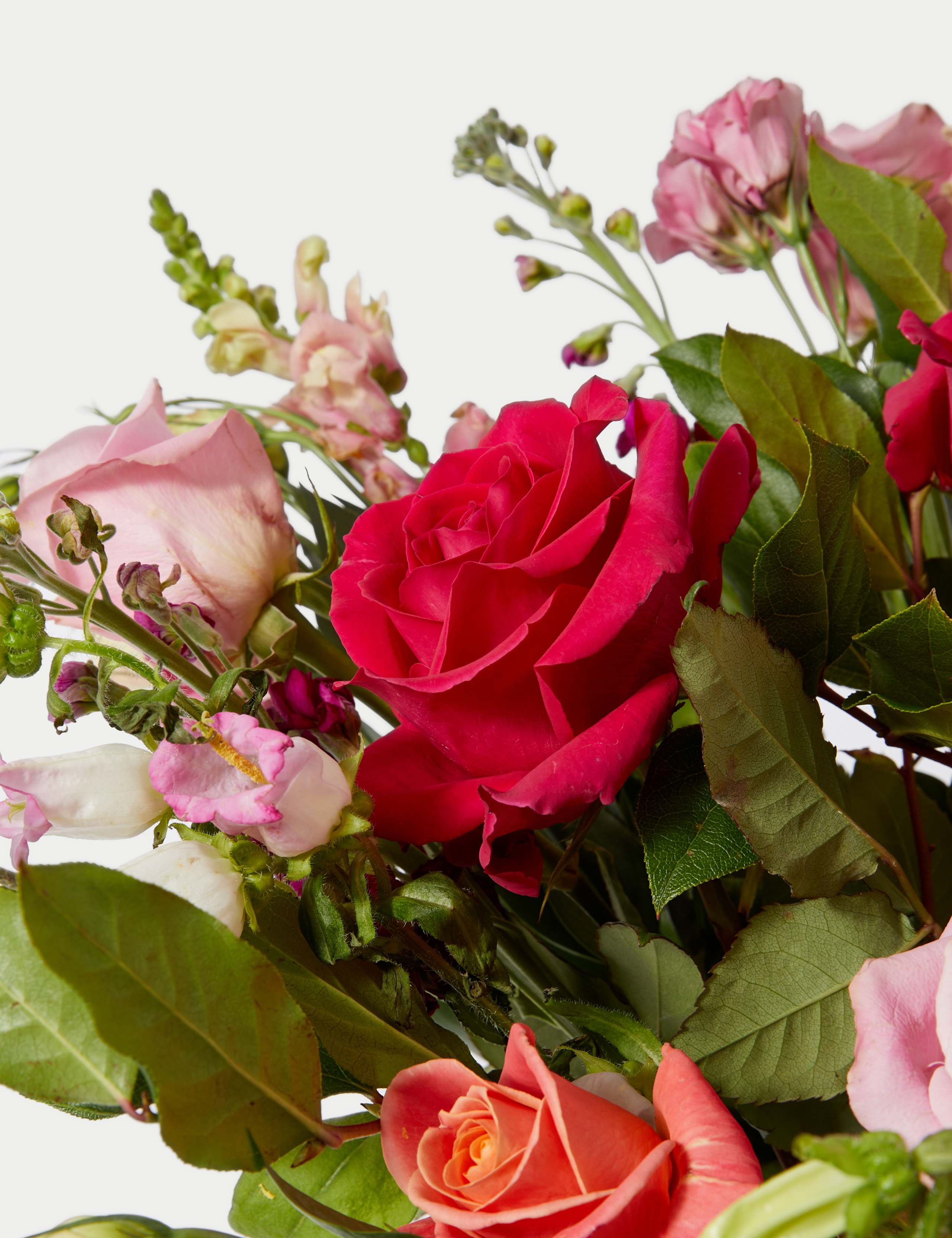 Mother's Day Rose, Stocks & Lisianthus Bouquet 4 of 6