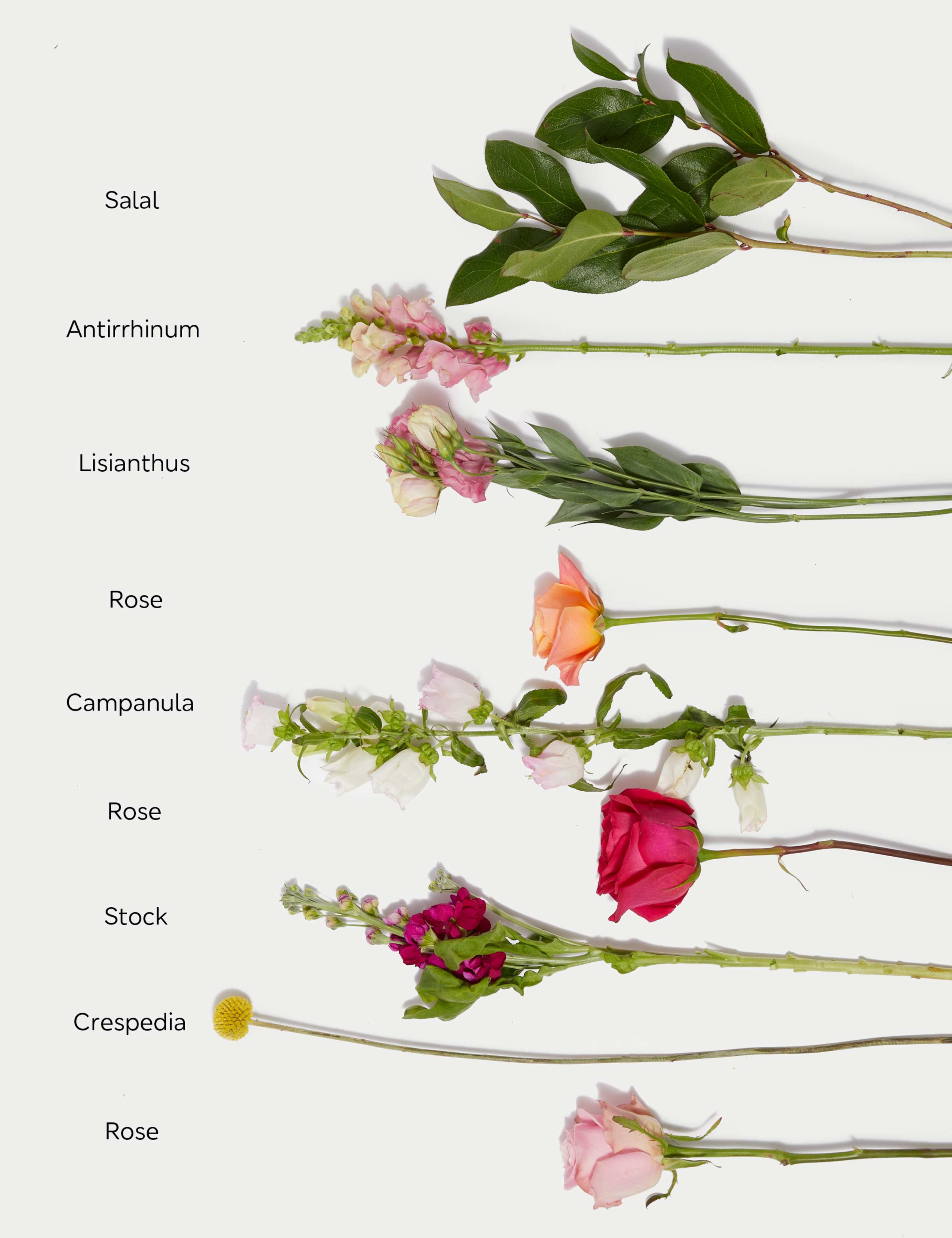 Mother's Day Rose, Stocks & Lisianthus Bouquet 5 of 6