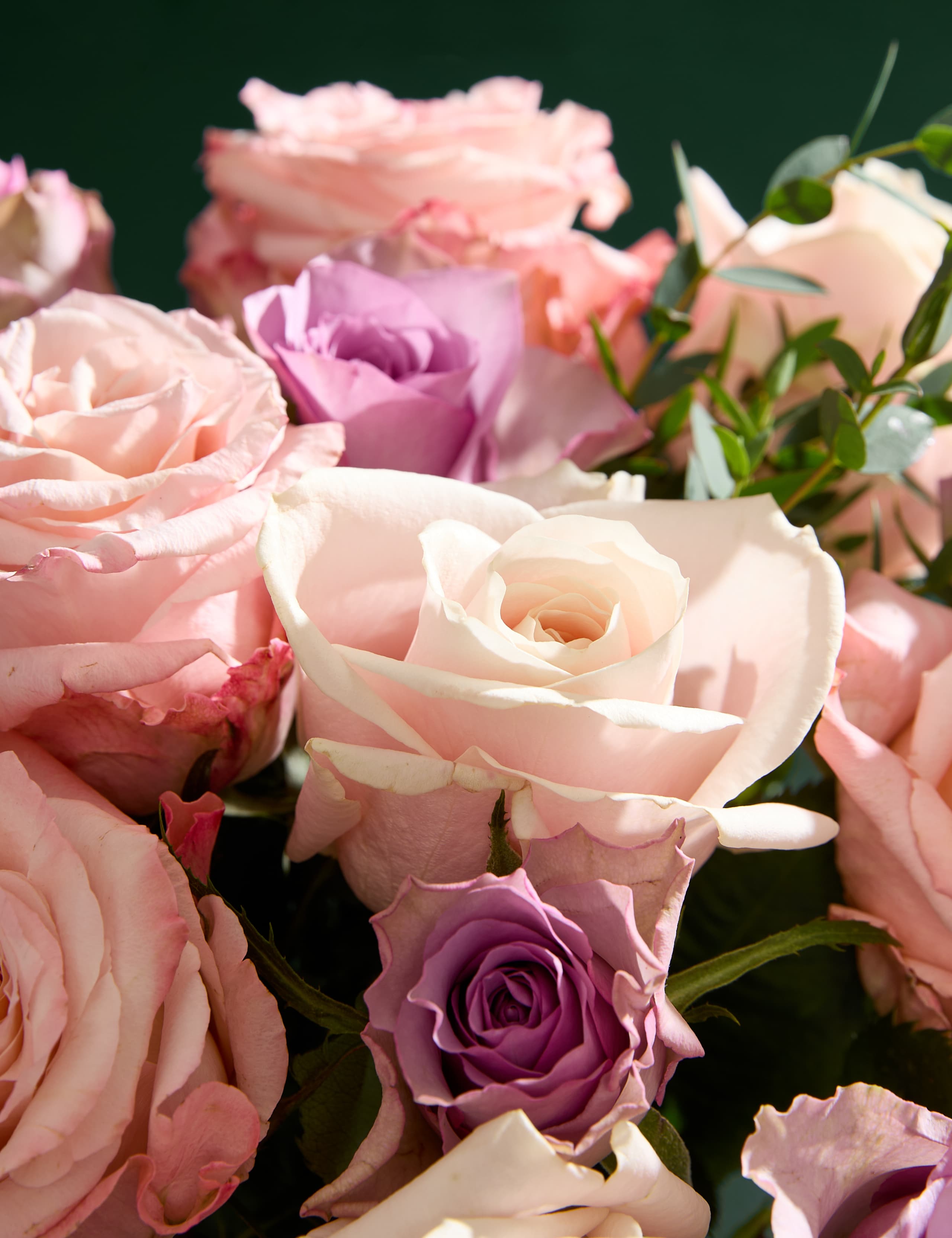 Mother's Day Peach Rose & Eucalyptus Bouquet with Champagne & Truffles 3 of 8